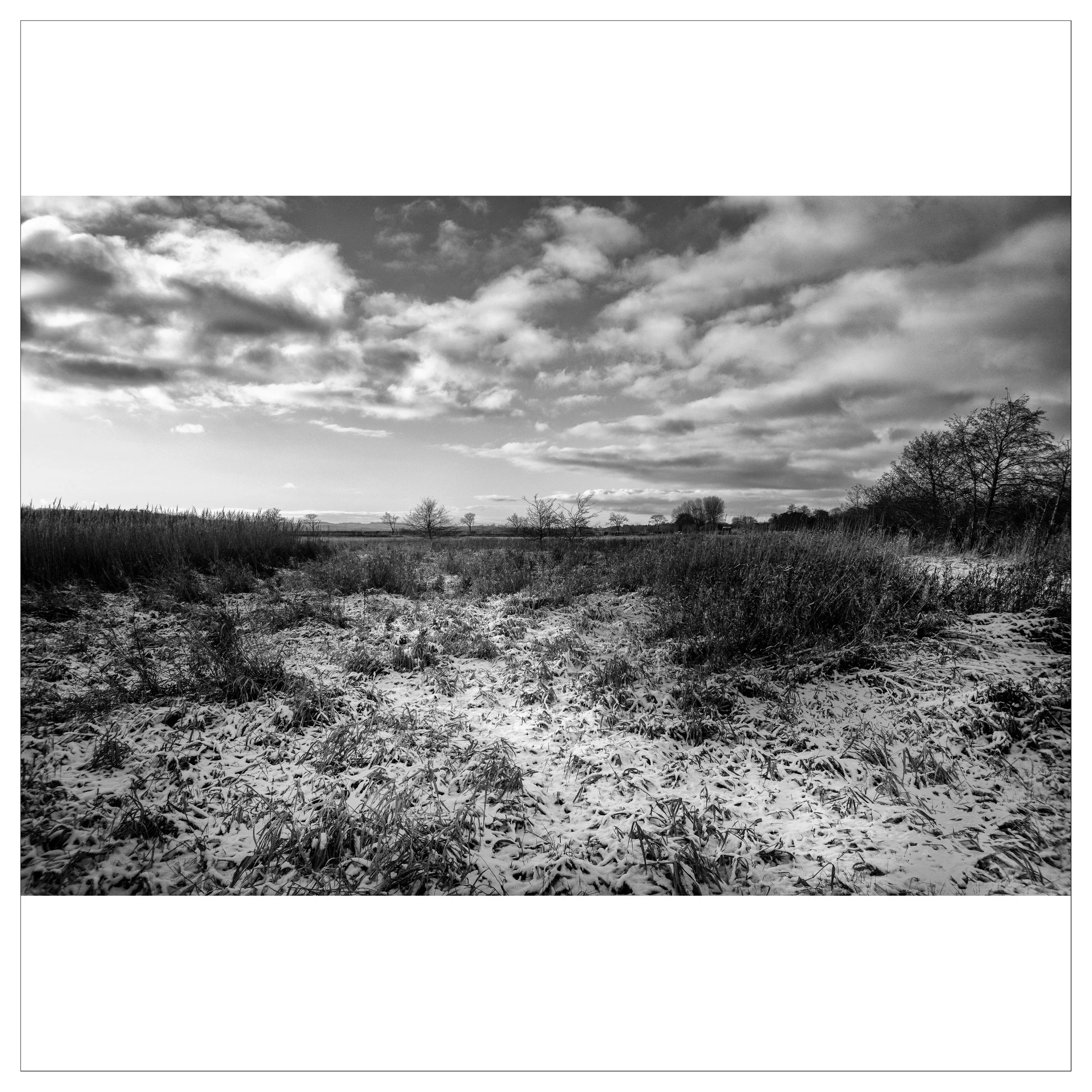 Brabrand_DSCF1678-6-Edit-Edit kopier.jpg