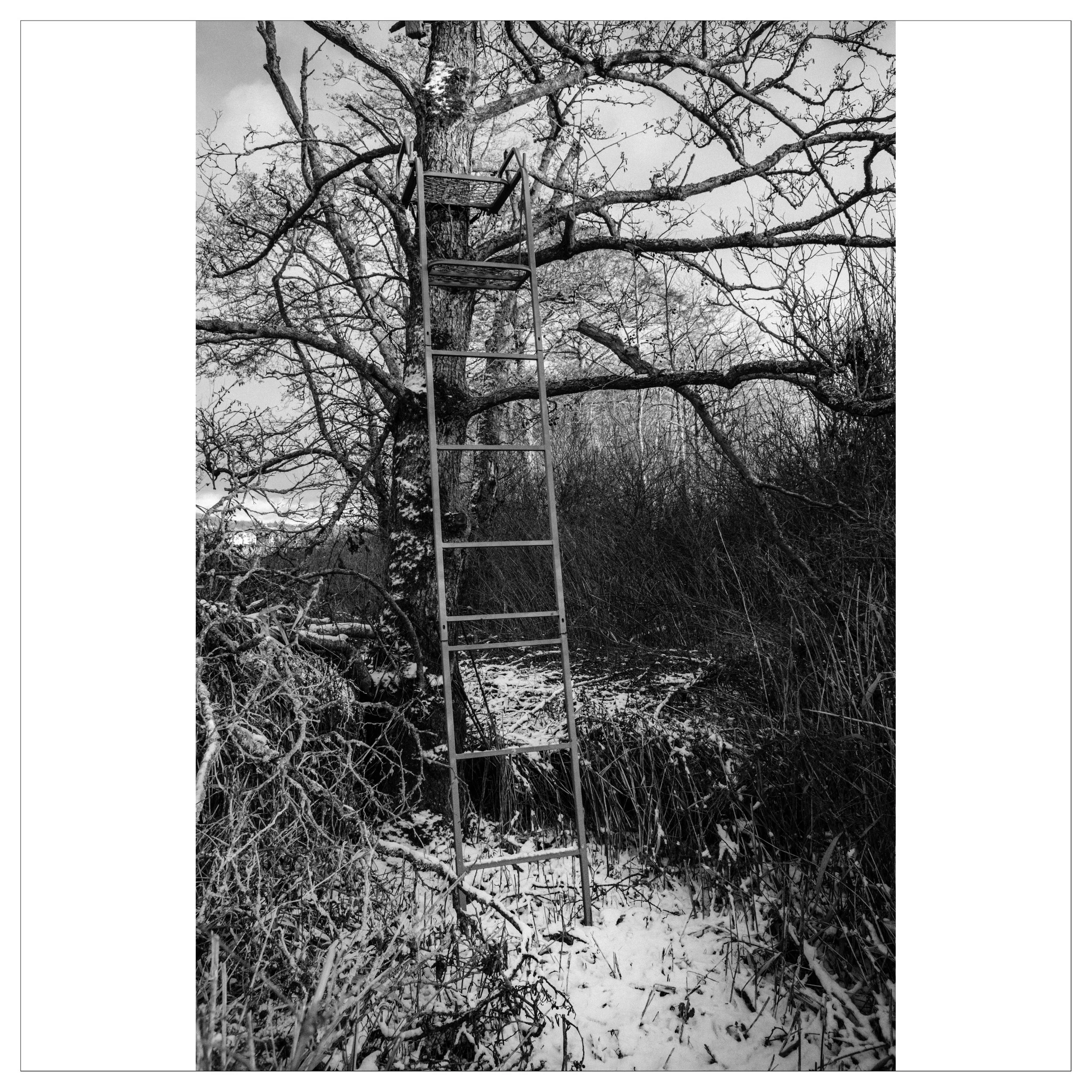 Brabrand_DSCF1682-16-Edit kopier.jpg