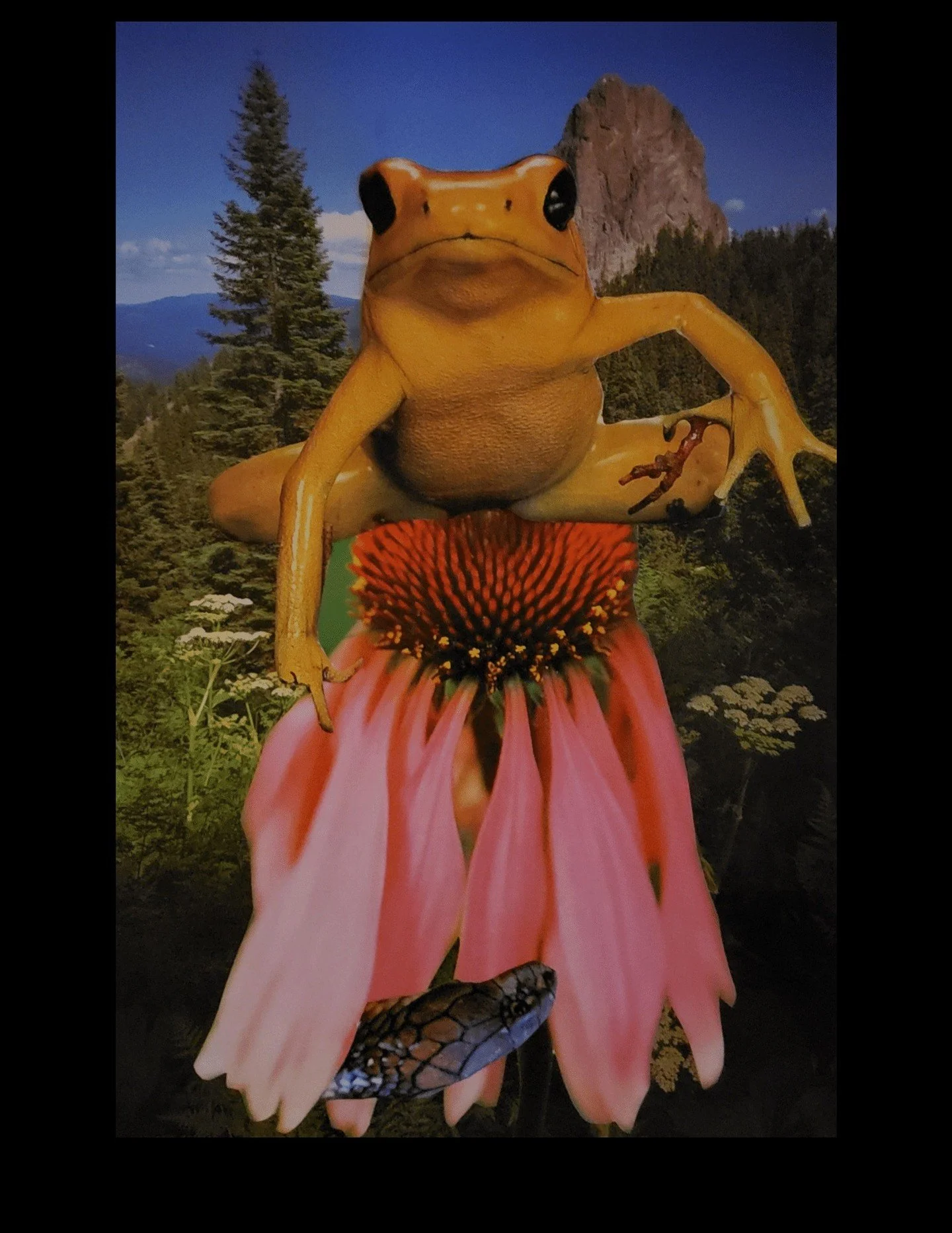 RESCHEDULED
Saturday, April 25th  with Joan Kauppi

Come play with design &amp; humor as you learn techniques to create layered collage.
Teaching artist Joan Kauppi (Red Lake) shares her insights &ldquo;I have experimented in many art forms. Collage 