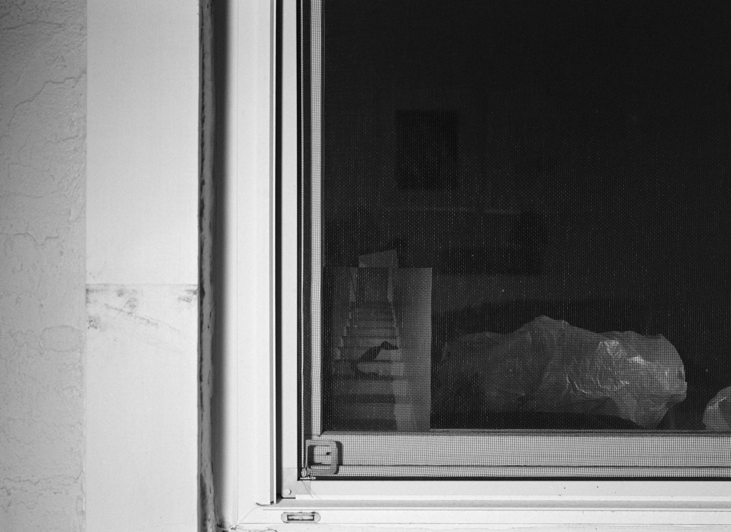ava_thesis_window19.jpg