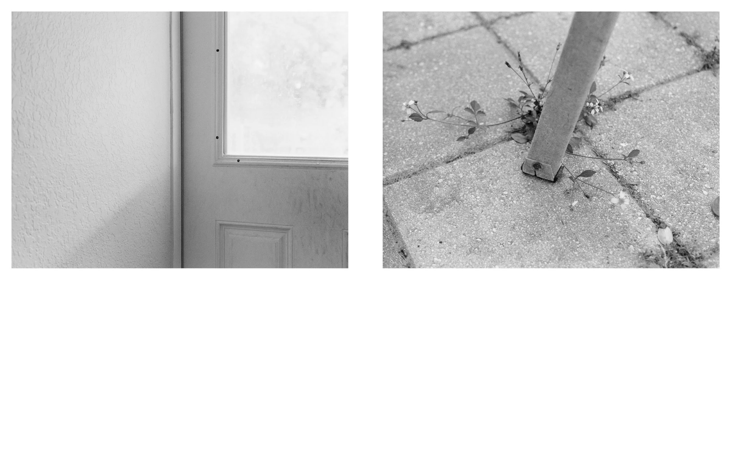 pubphotobook_assignment2_v24.jpg