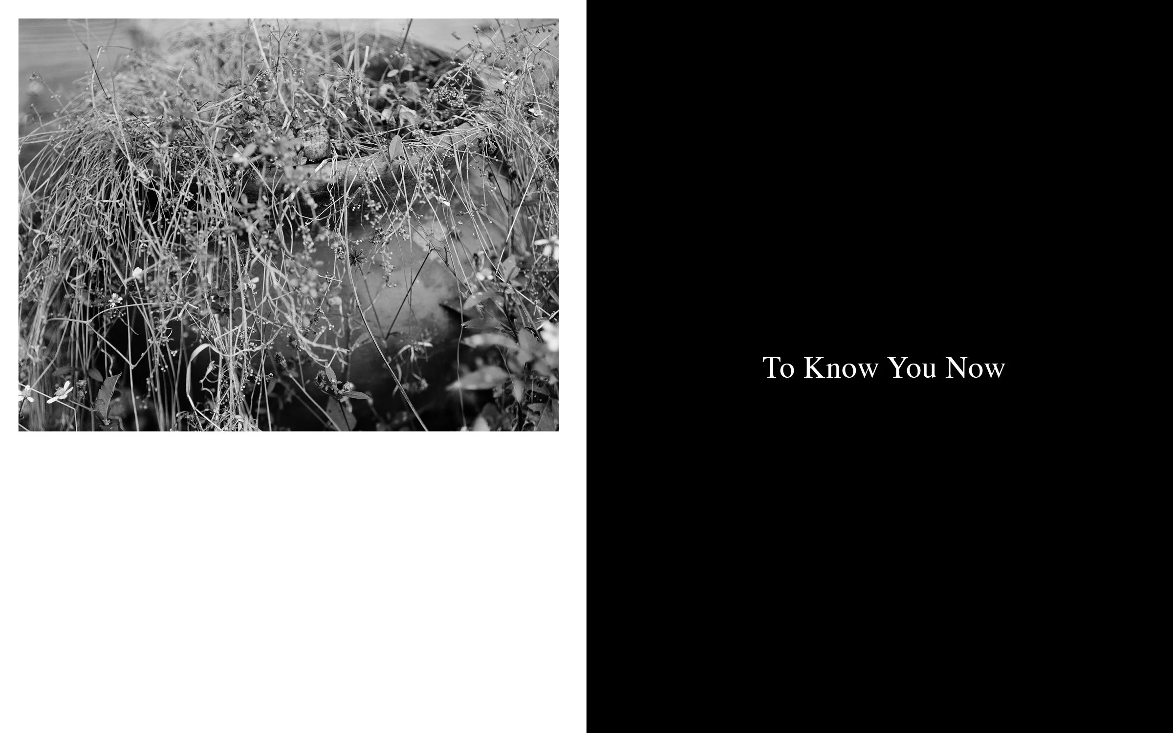 pubphotobook_assignment2_v27.jpg