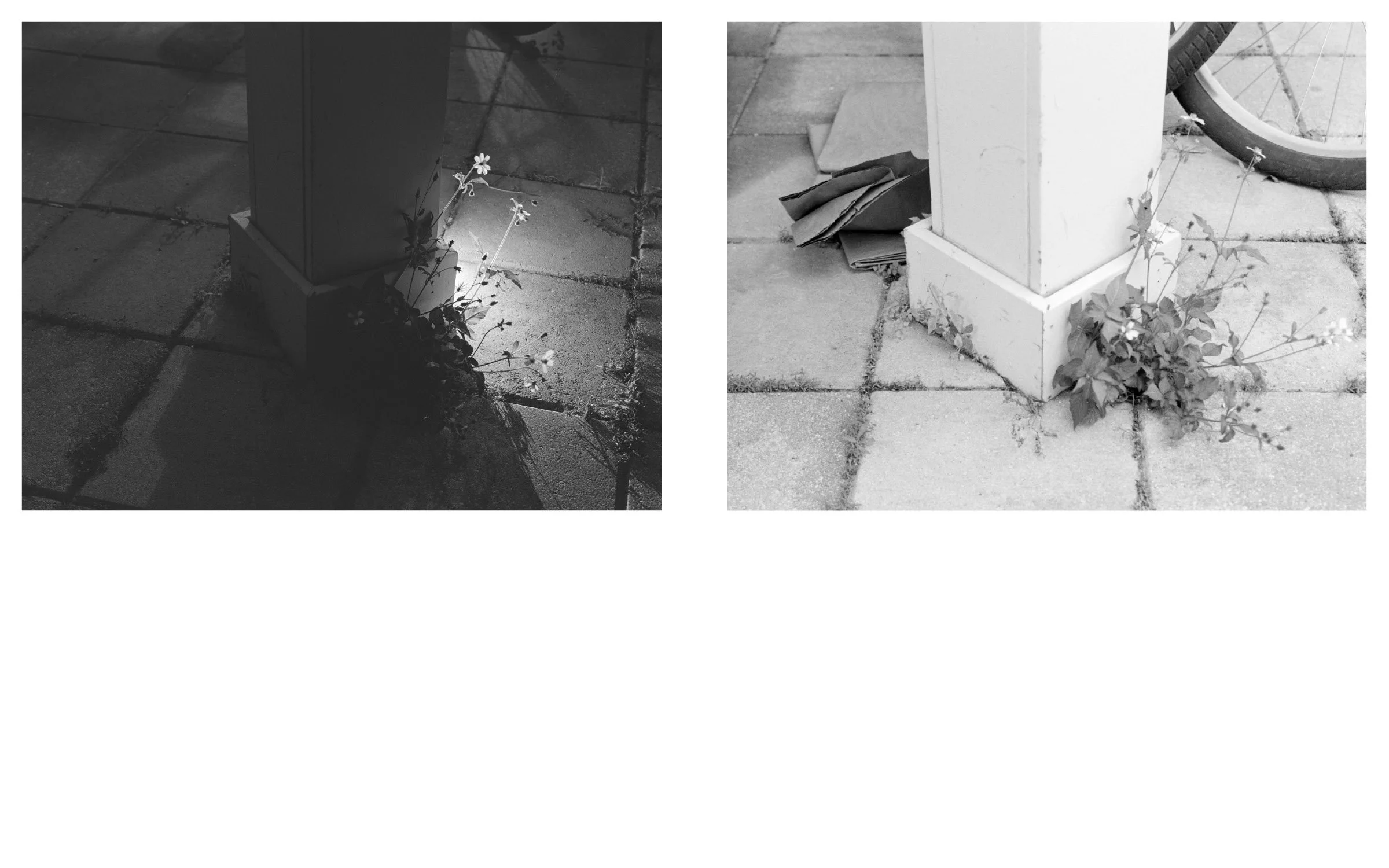 pubphotobook_assignment2_v212.jpg
