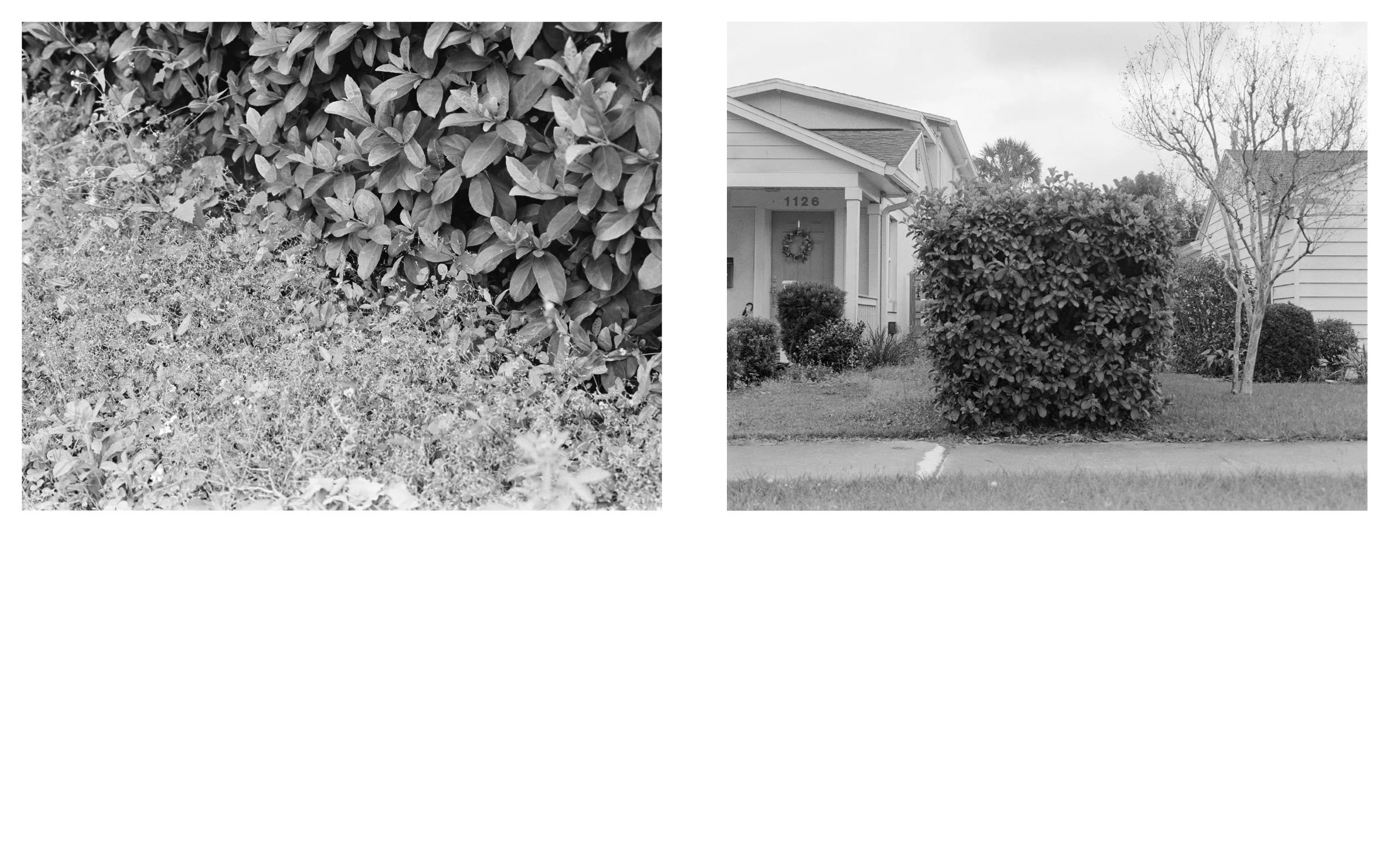 pubphotobook_assignment2_v213.jpg