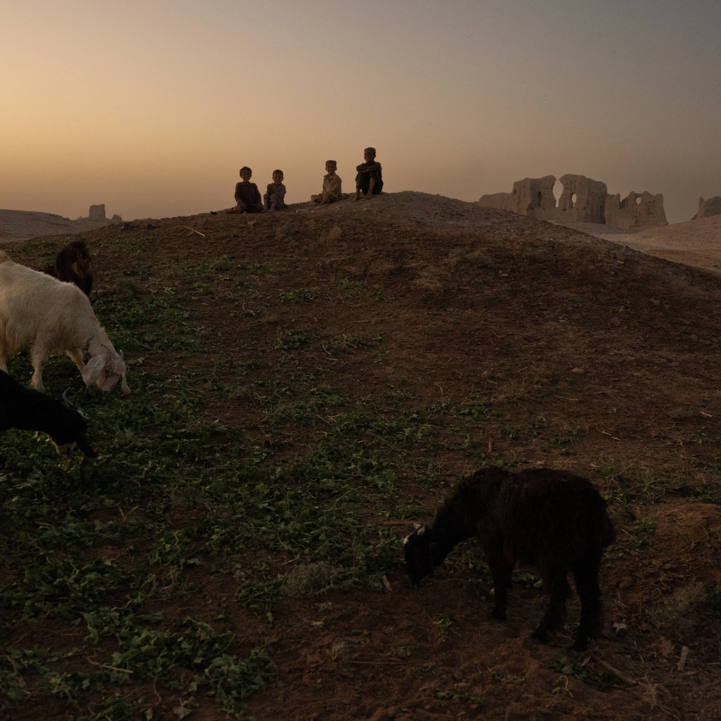 herat-3.jpg