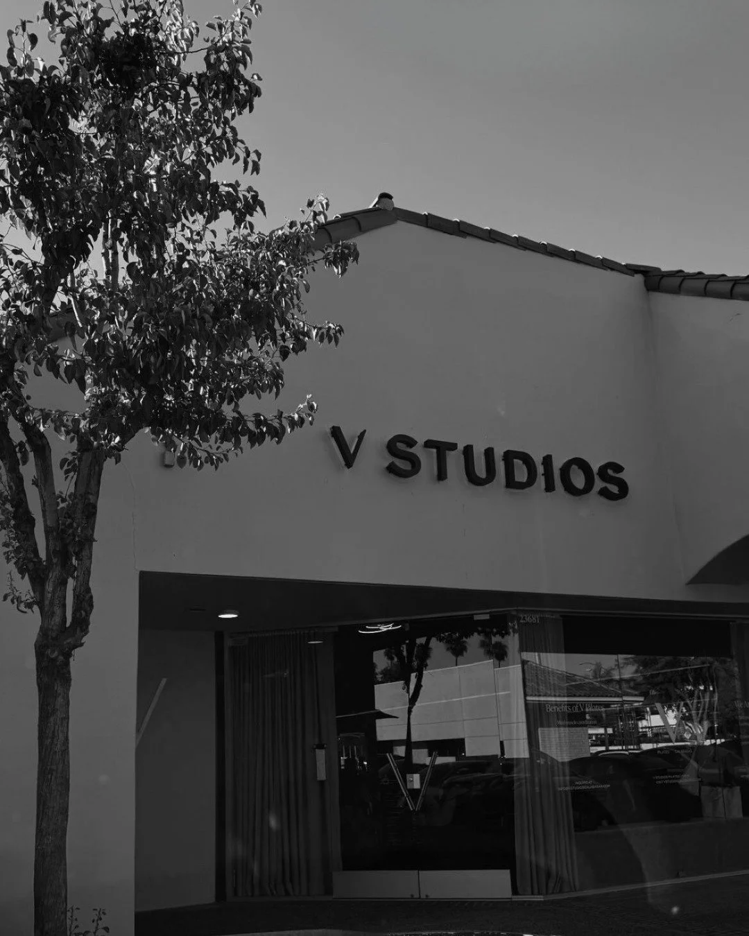 This #SmallBusinessSaturday, we want to sincerely thank you for choosing to shop local and helping bring the dreams, passion, and purpose behind V Studios to life.

Your kindness means the world to us! 💜

And reminder, our class pack sale is still o
