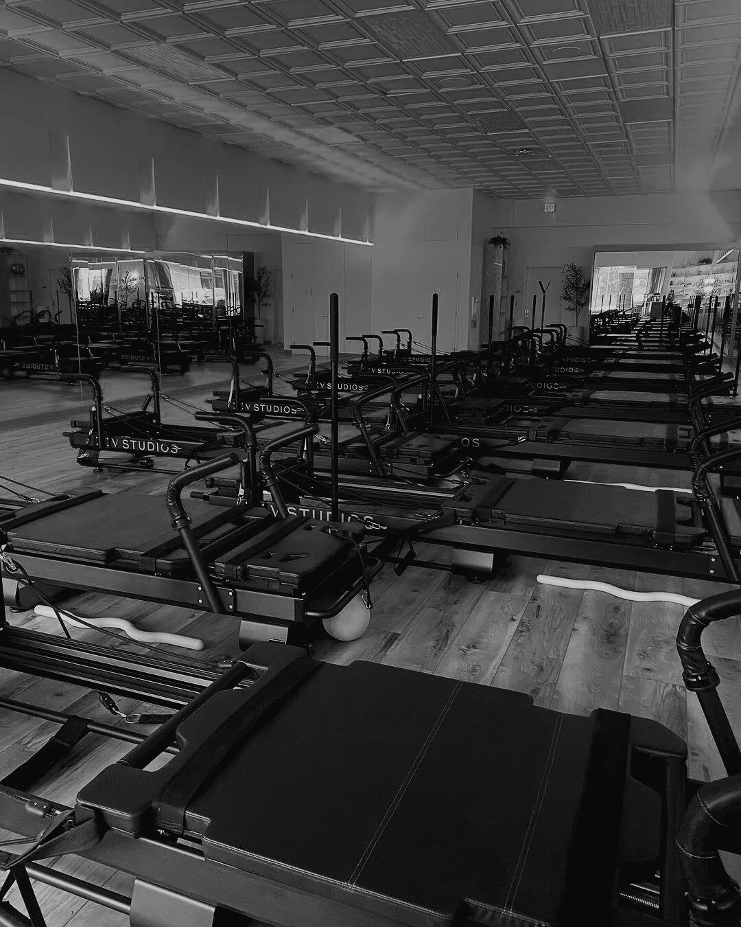 A little preview of the beats keeping us moving this holiday season 🎄❄️

&lsquo;All I Want for Christmas Is You&rsquo; - Mariah Carey
'Merry Christmas, Happy Holidays' - NSYNC
&lsquo;Santa Tell Me&rsquo; - Ariana Grande
'Underneath the Tree' - Kelly