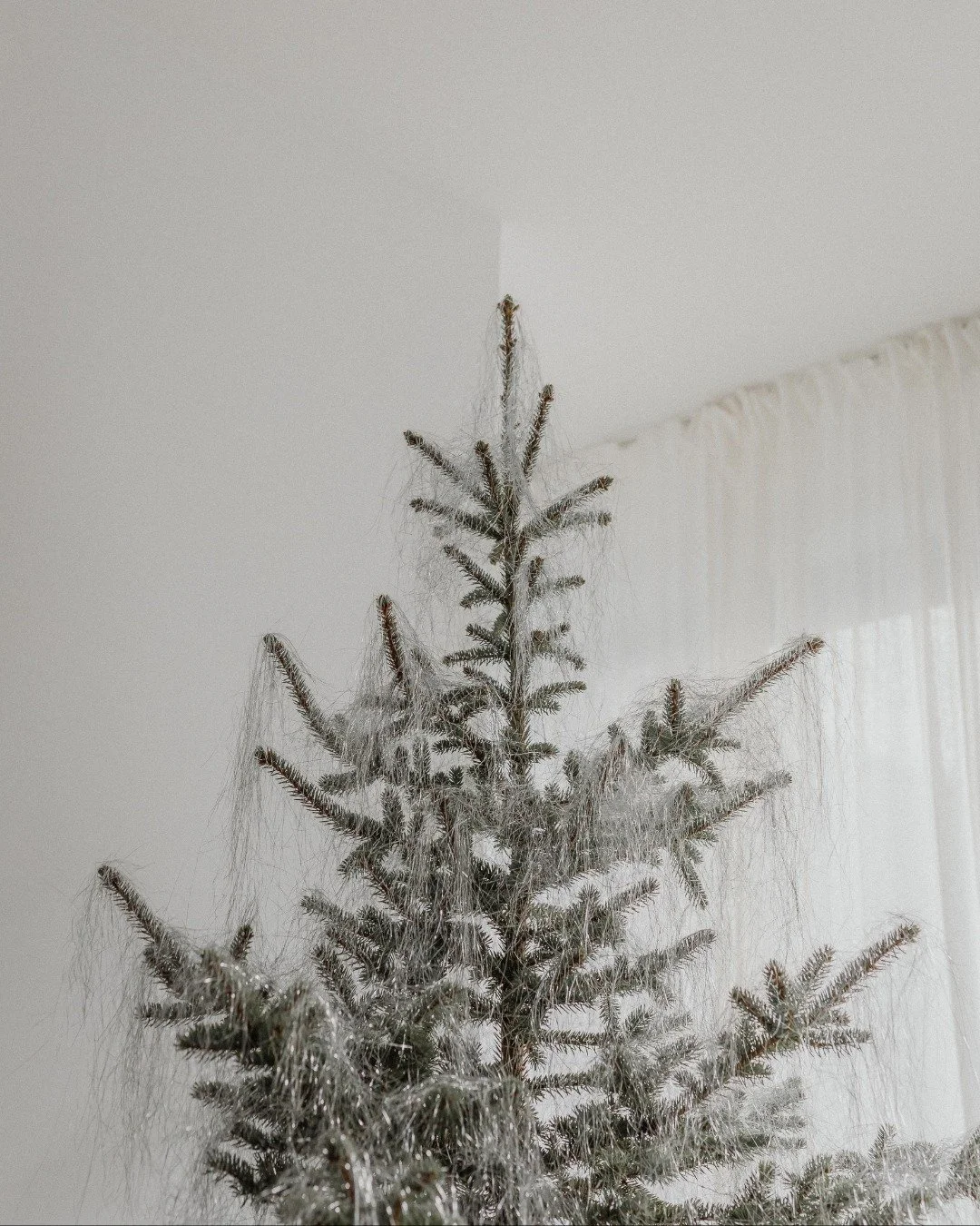 Core work, cozy vibes, and a little holiday magic ✨ Happy Holidays from V Studios!