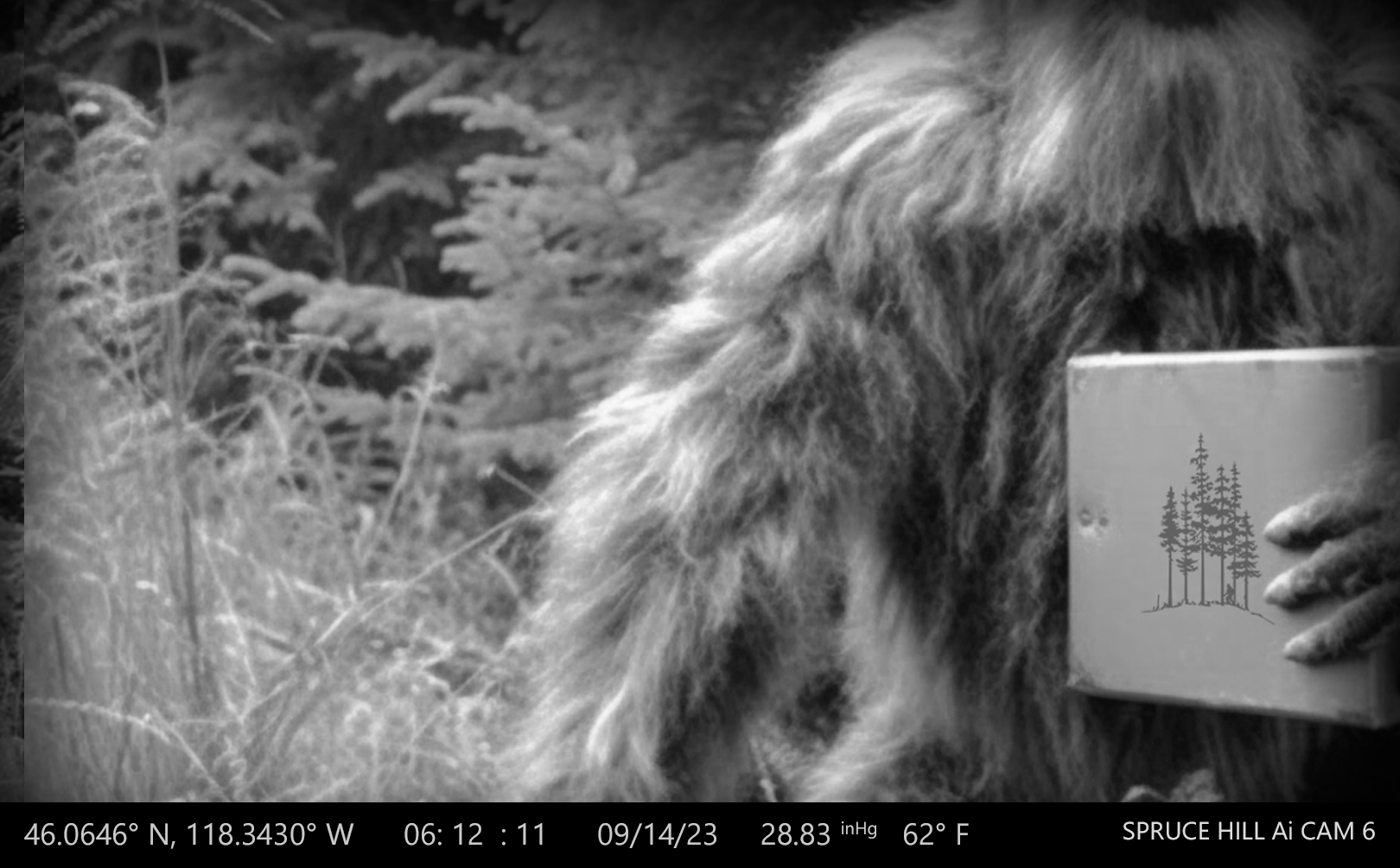 sasquatch_trailcam2.png