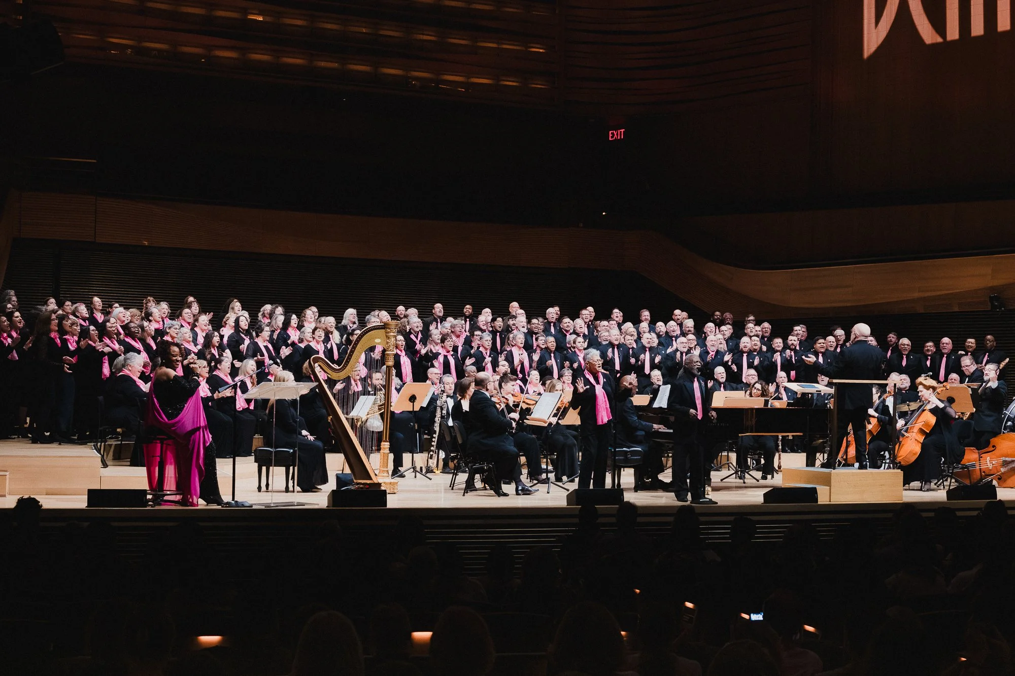 Sing for the Cure (Lincoln Center-David Geffin Hall)-177.jpg