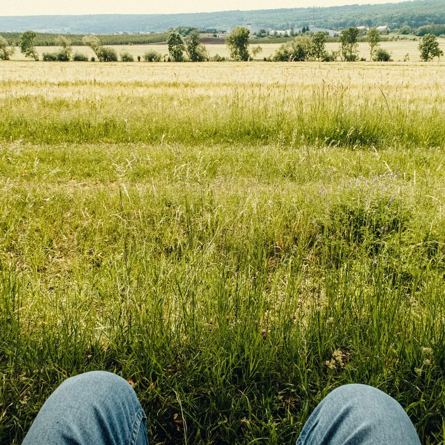 Setzen lassen -- Großfahner, 04.06.2022, Canon PowerShot G7 X Mark II, ISO 800, 8.8 mm, ƒ4.5, 1/2000 s