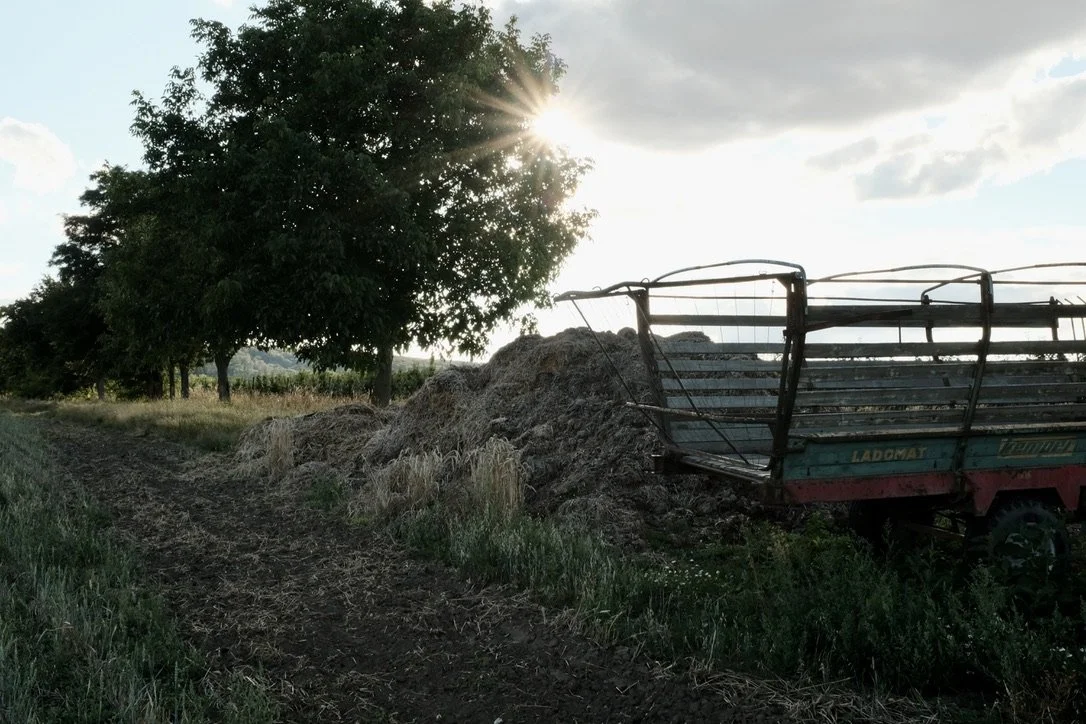 Ernte-Dank -- Großfahner, 09.08.2023, FUJIFILM X100F, ISO 400, 23 mm, ƒ16, 1/60 s