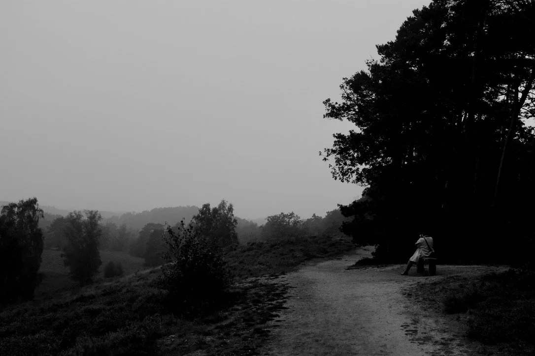 Heide-Blick -- Fischbeker Heide, 10.09.2023, FUJIFILM X100F, ISO 400, 23 mm, ƒ5.6, 1/800 s