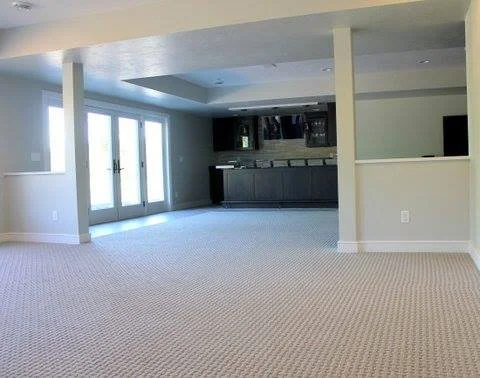 Lower level living with carpet