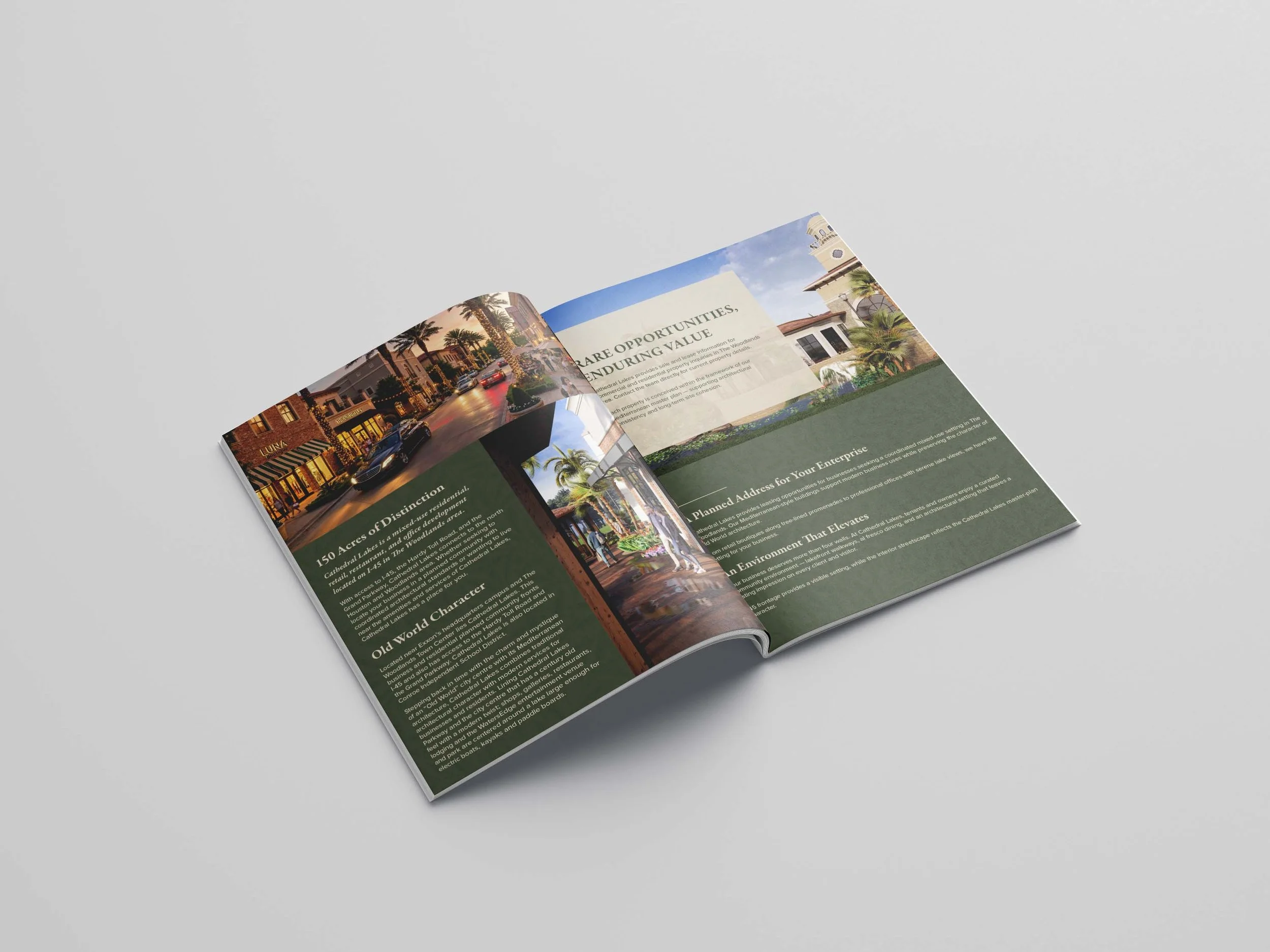 Free_A4_Brochure_Mockup_01 copy.jpg