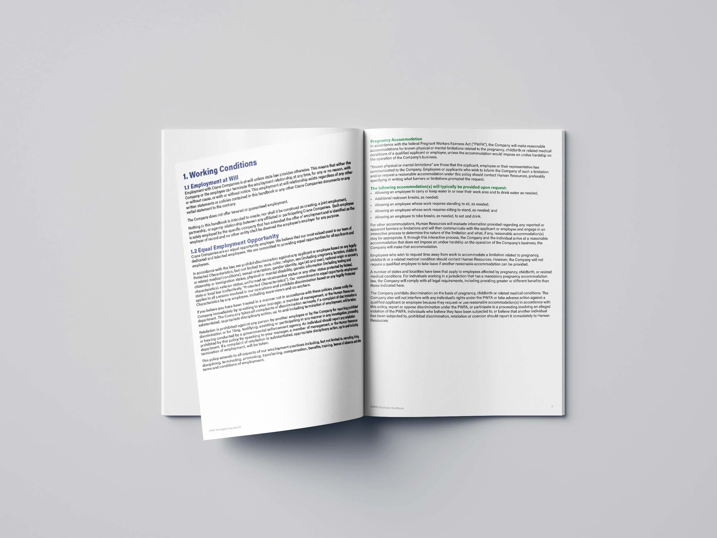 employee_handbook_interior_Free_A4_Brochure_Mockup_07.jpg