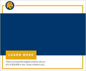 President's Promise Four Years-300x250-px.gif