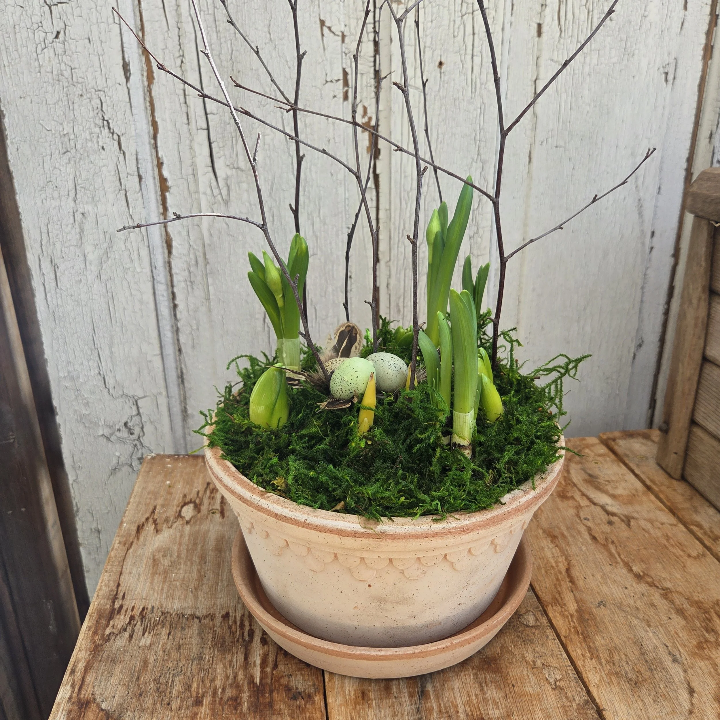 Spring Bulb Planter