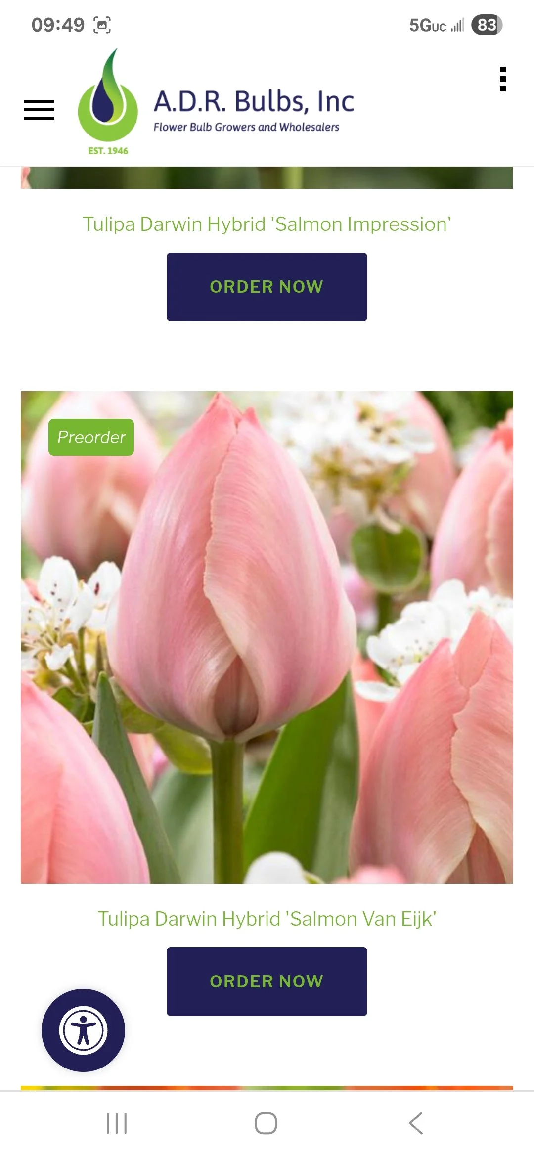Tulip Bulb Salmon Van Eijk - Bag of 10