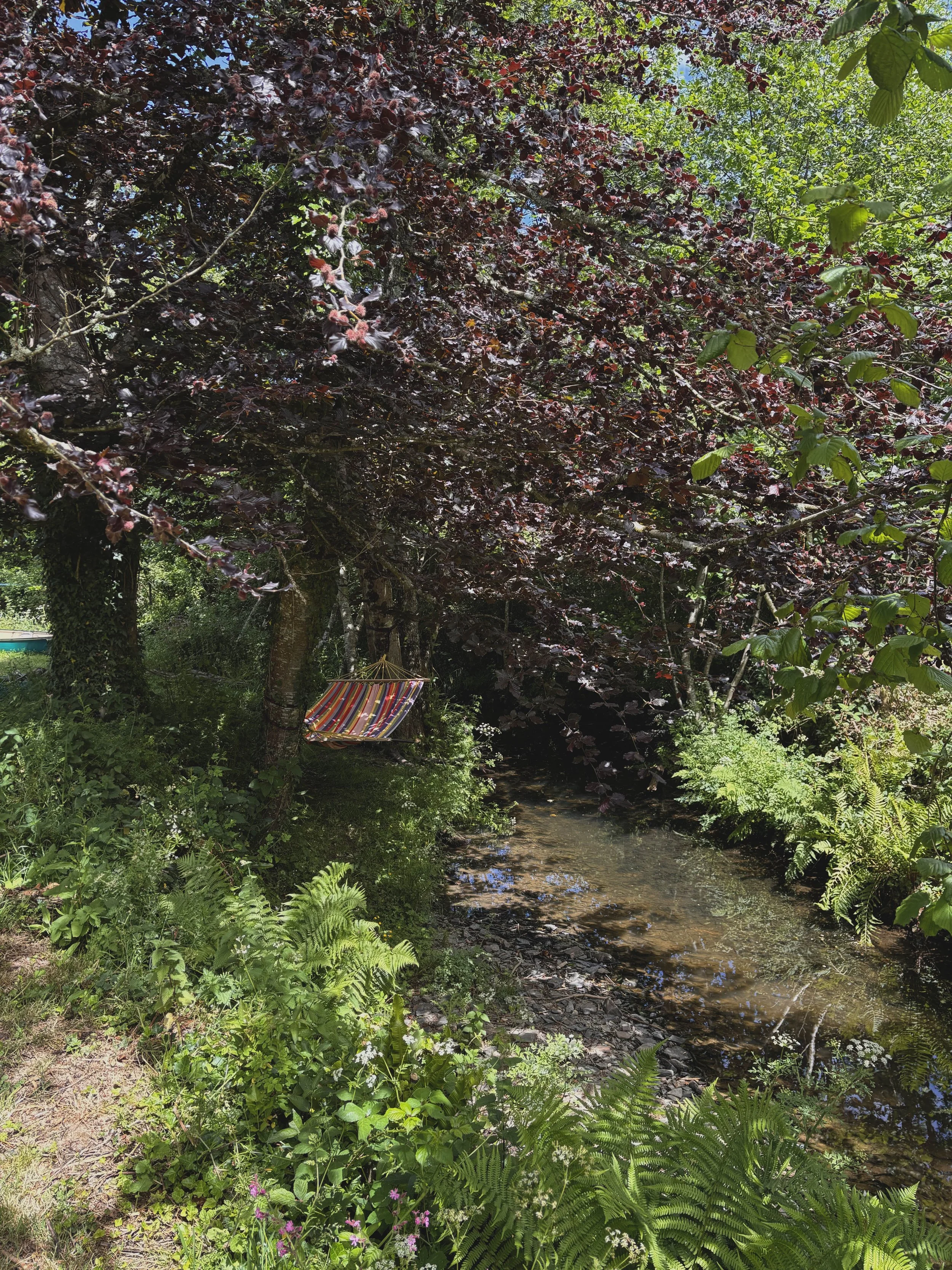 Observations in high Summer