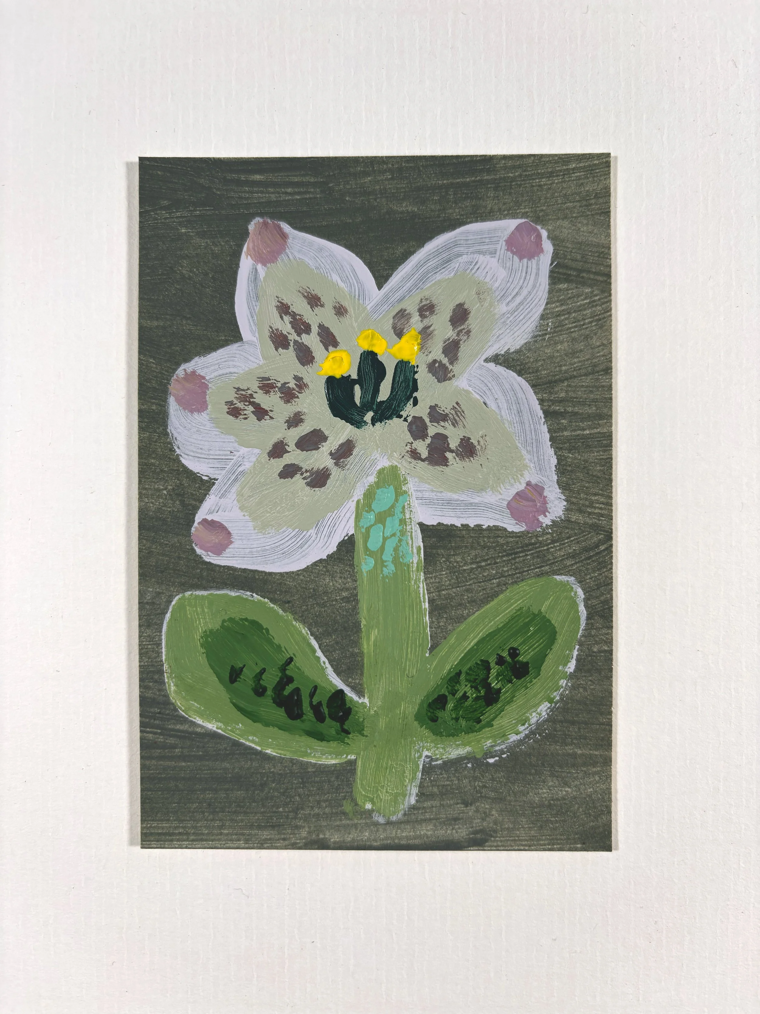 Hellebore