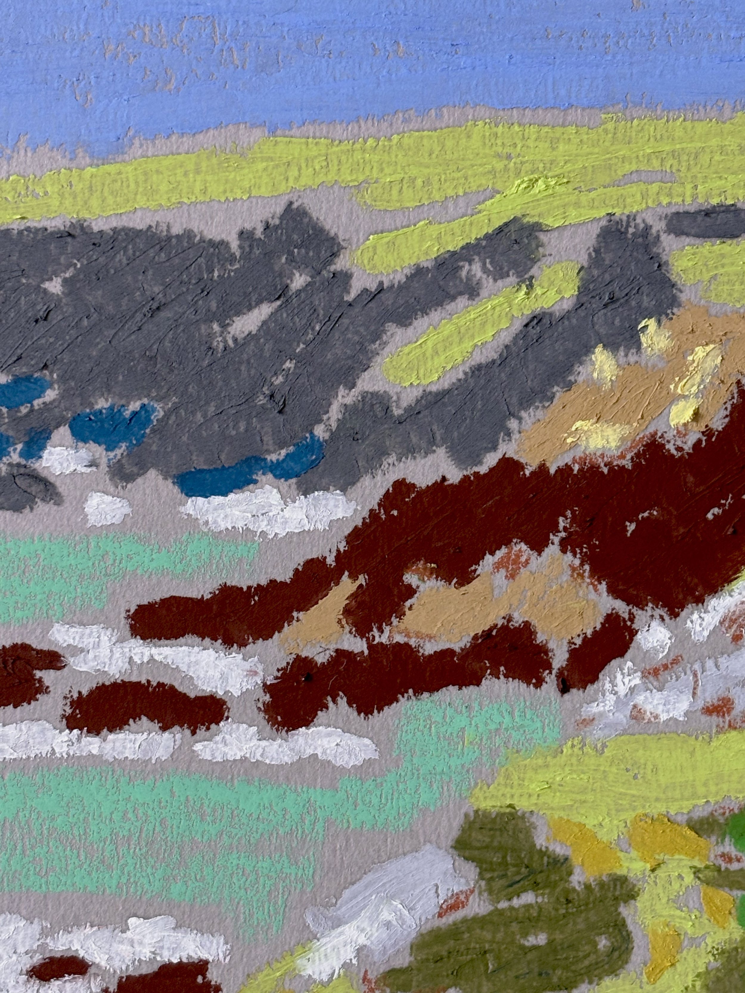 the coast path detail1.jpg