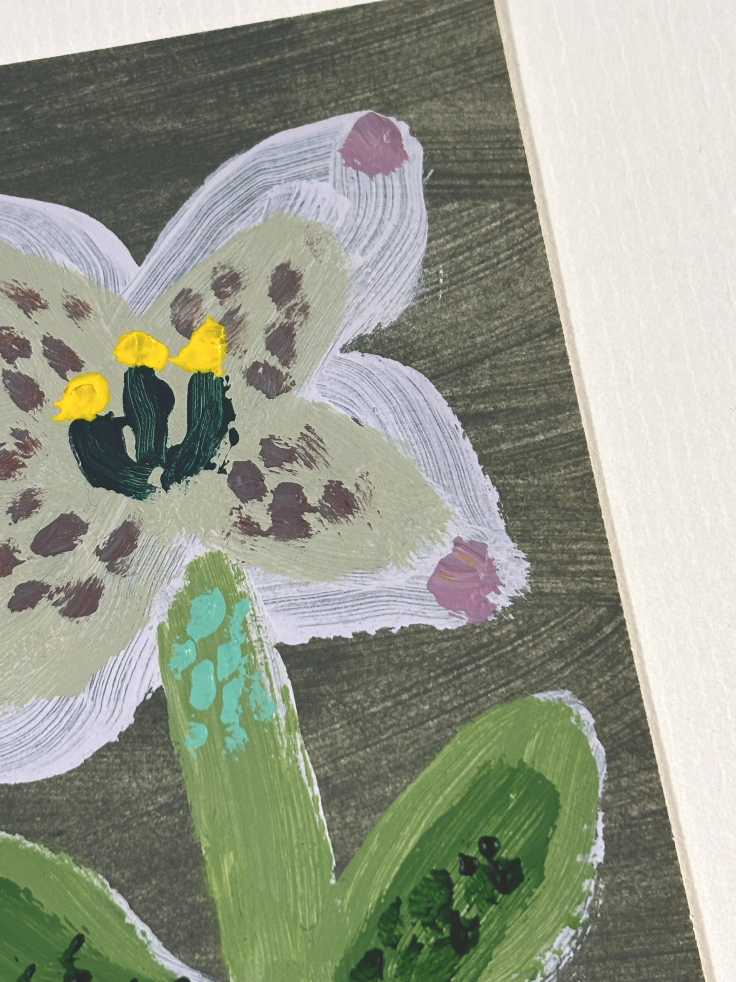 Hellebore 3.jpg