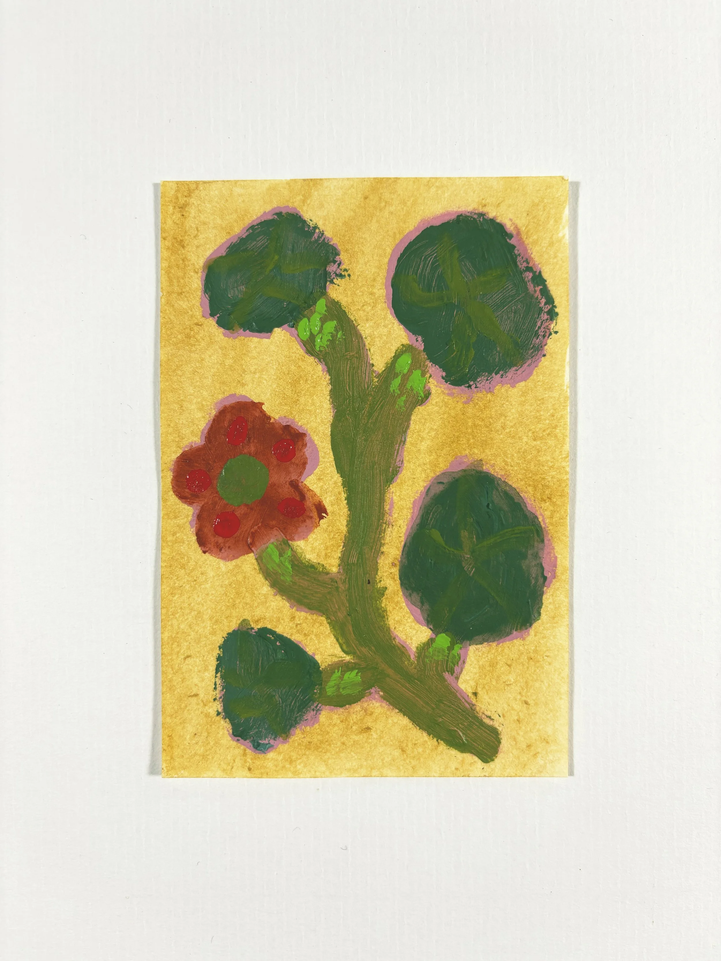 nasturtium2.jpg