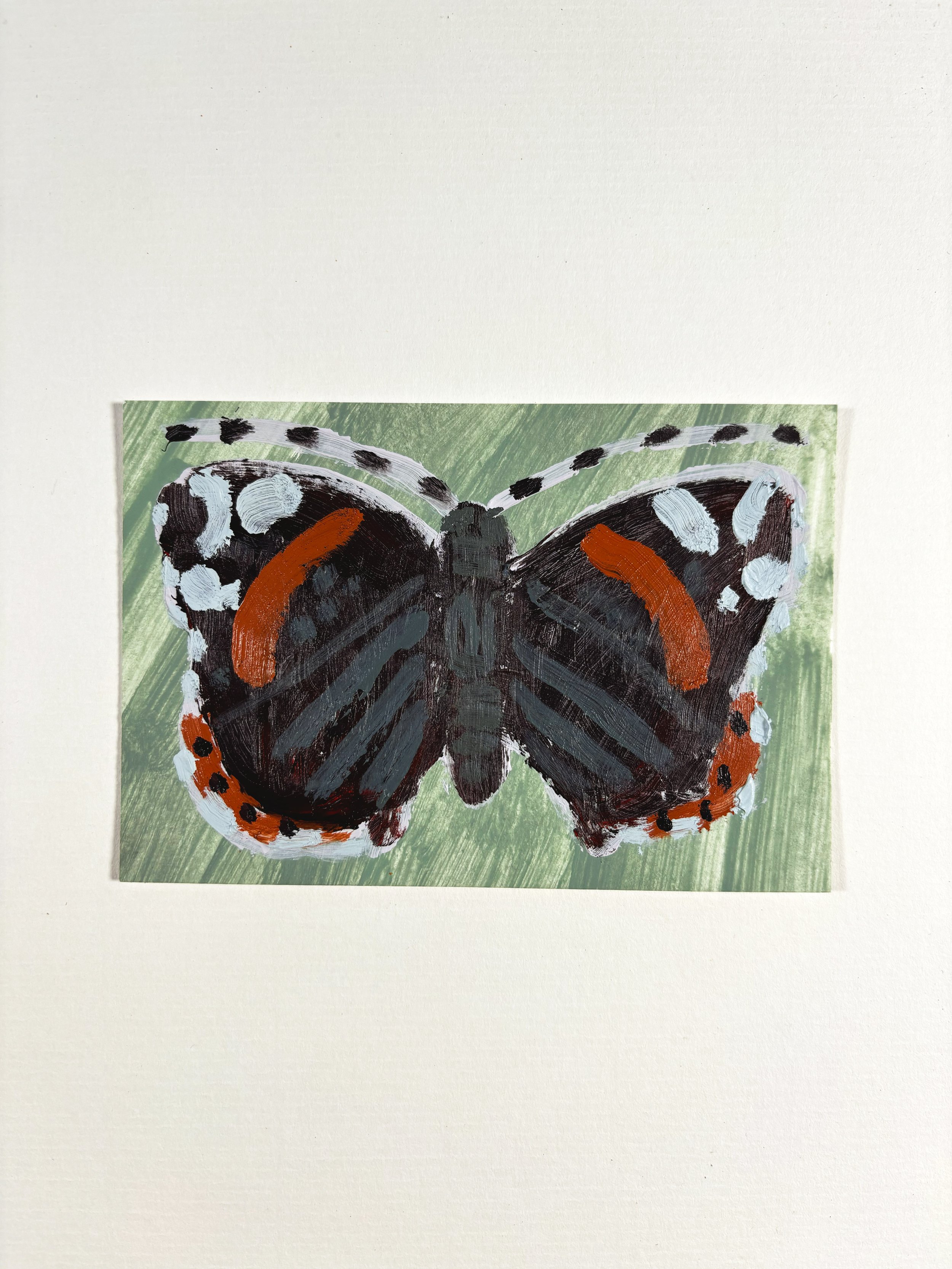 red admiral.jpg