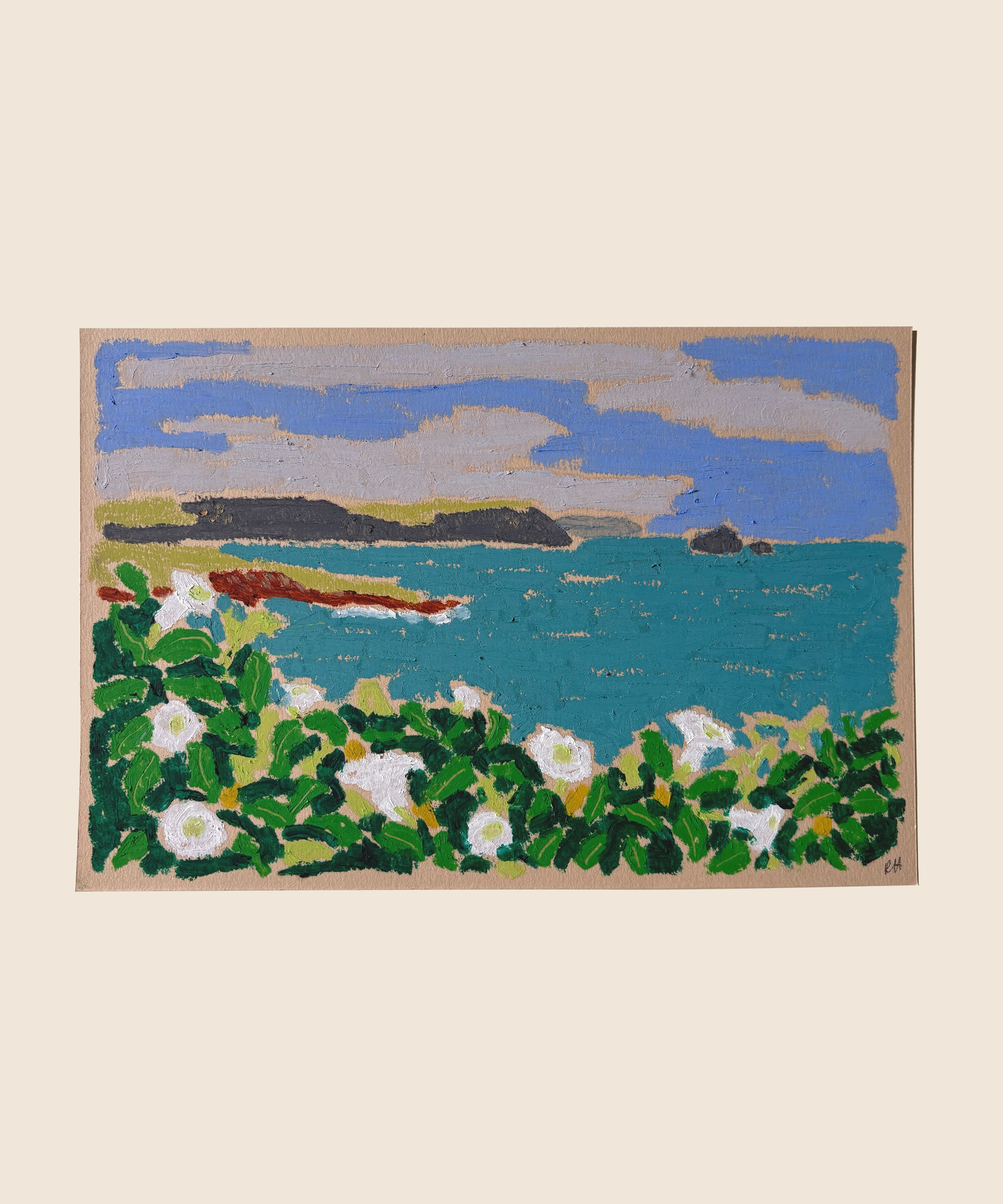 Gull rock.jpg