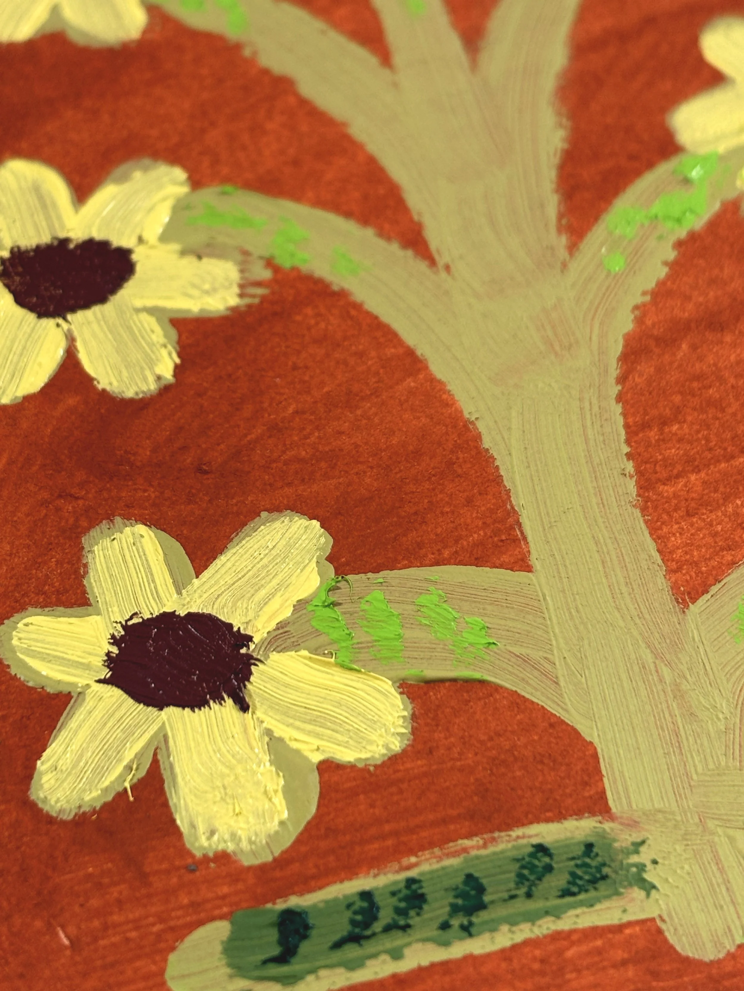 rudbeckia3.jpg