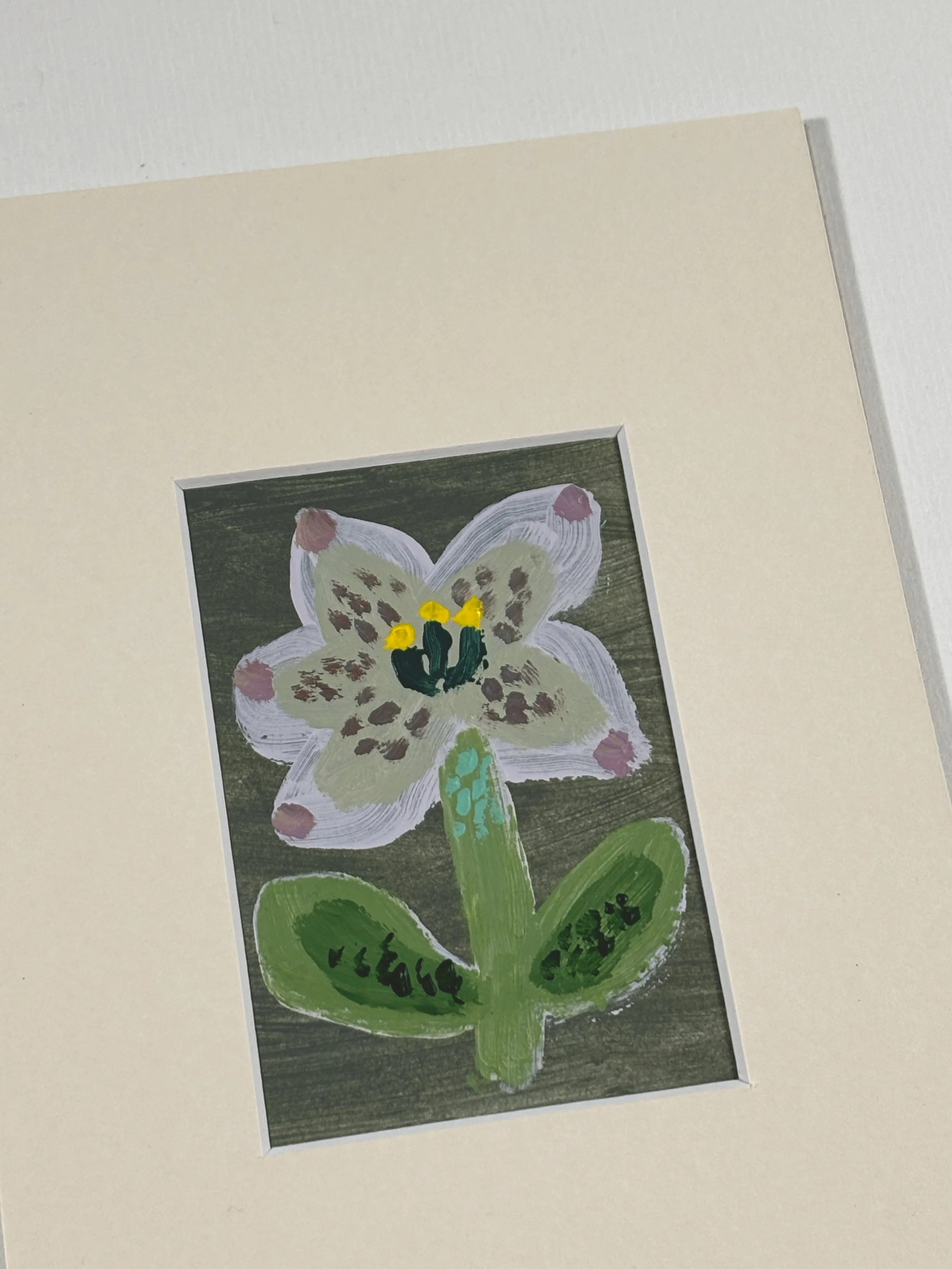 Hellebore 1.jpg