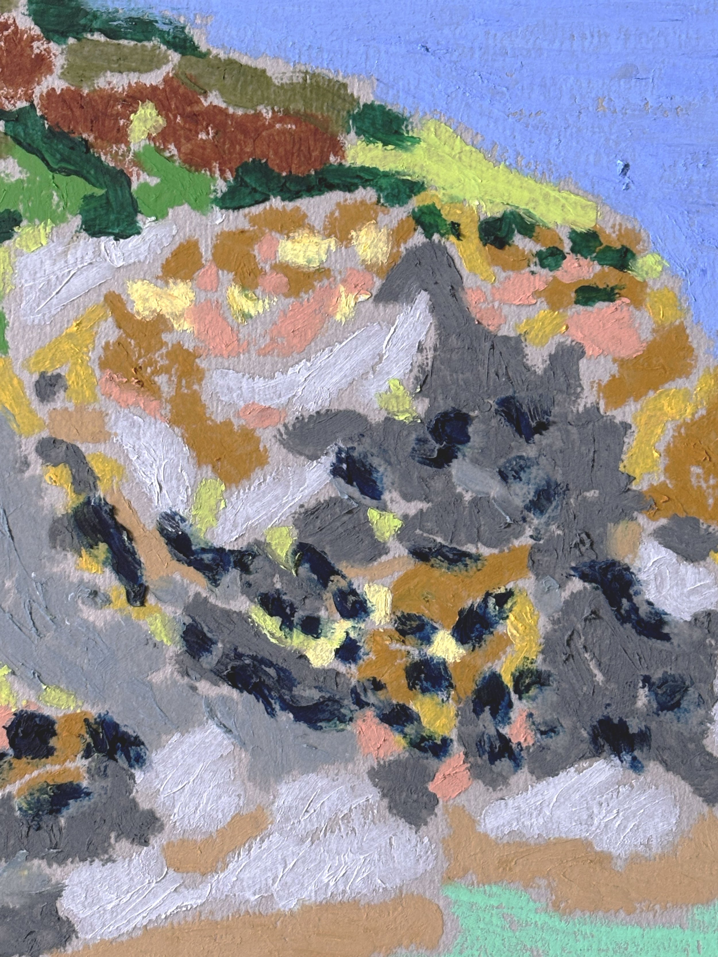 cadgwith cliffs detail1.jpg