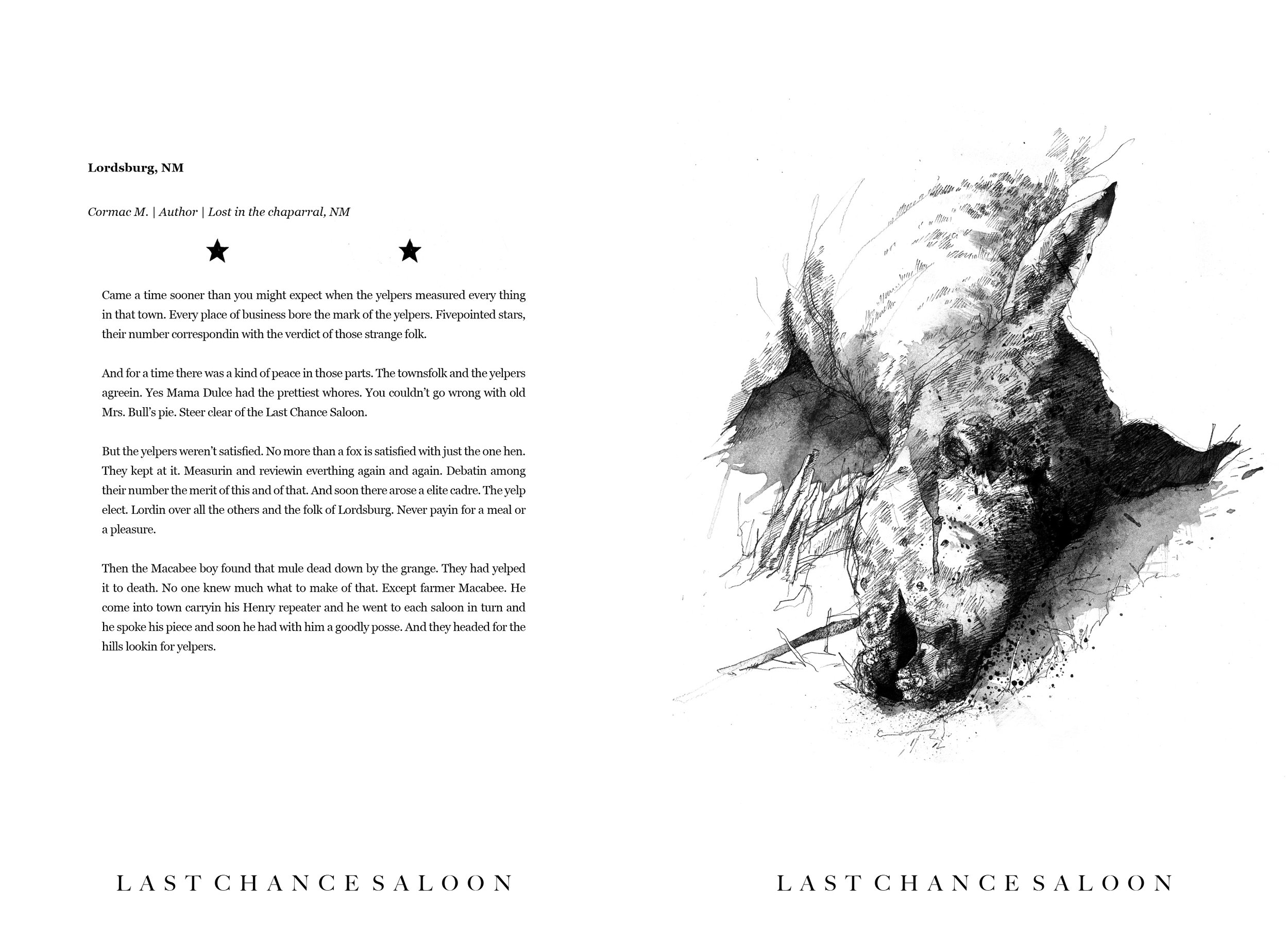 Alt Text: Ink and graphite, full page drawing close-up of the face of a dead mule, mouth agape, lying on grassy earth. On the forehead of the mule is a single, bloody star.