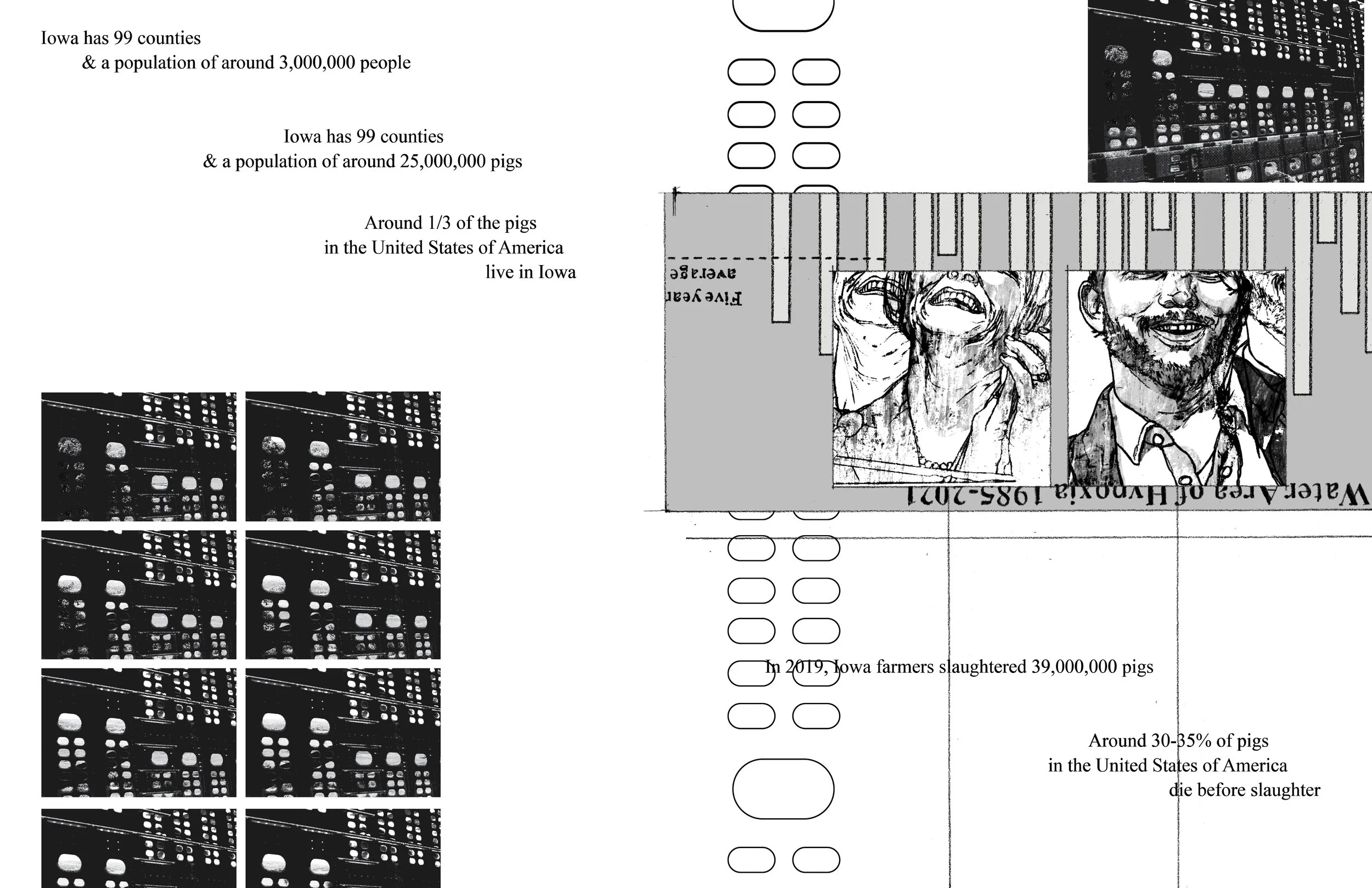 Alt Text: Left page, on left side in two columns descending down are sequential photos featuring view from dark interior of livestock trailer. Another is present on right page in upper right corner. Also on right page is fragment of upside-down graph