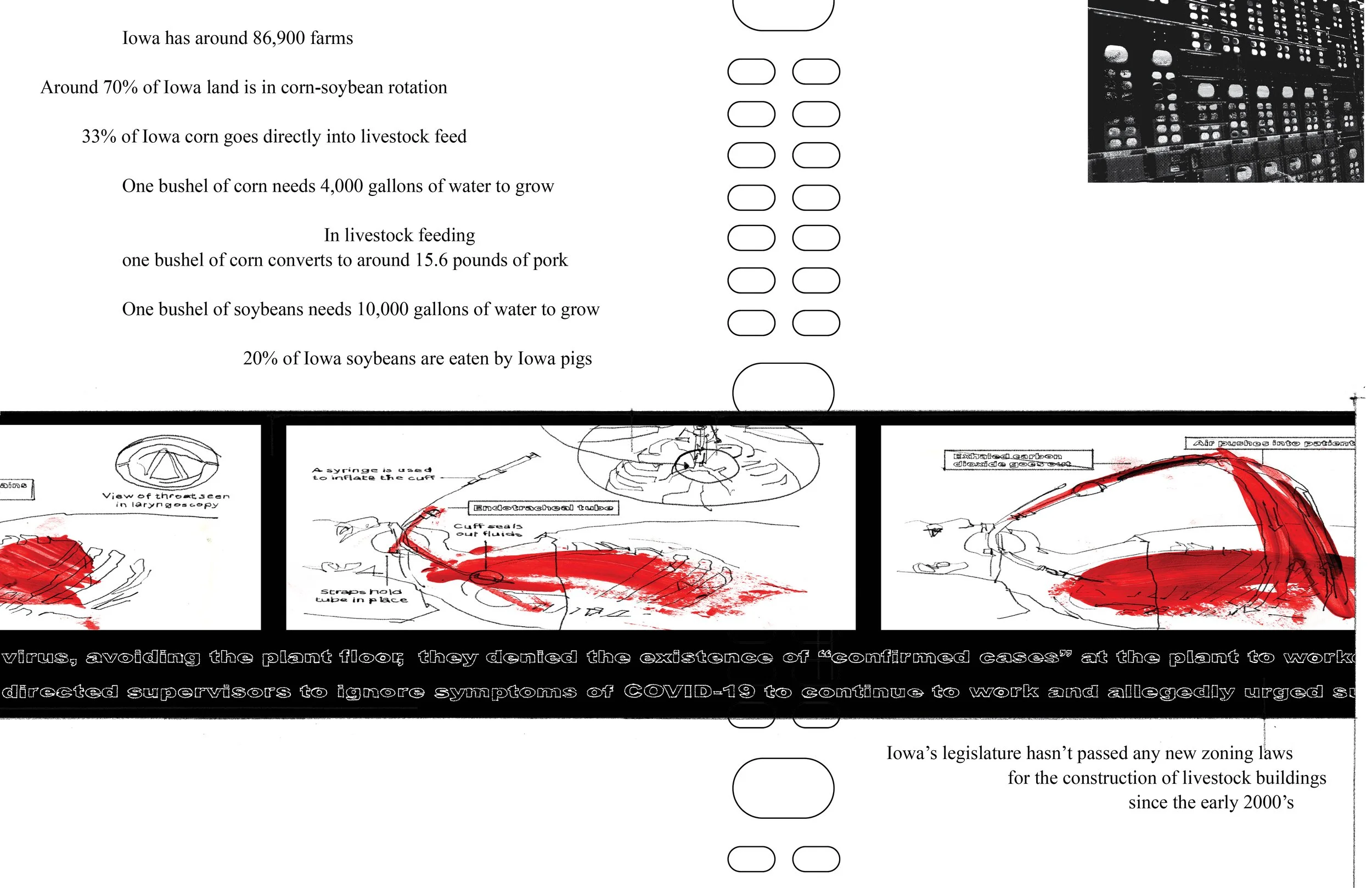 Alt Text: Spanning spread is a black bar, overlaid with three drawn/labeled instructional images on intubation. Red ink is painted over lung areas. Beneath images, words, partially visible, read "virus, avoiding the plant floor, they denied the exist