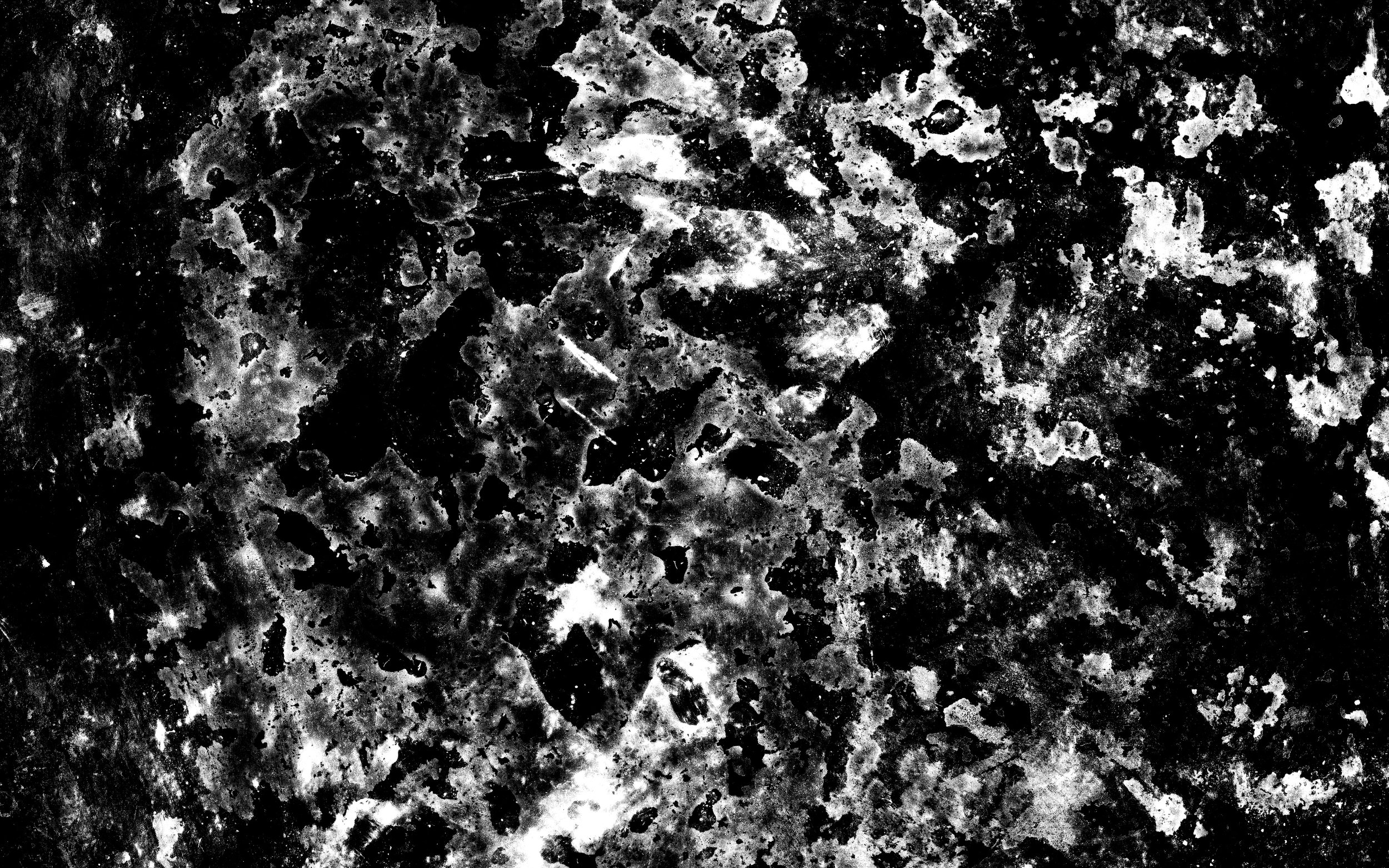 Alt Text: Interior endpaper spread. Splattered white ink of various transparencies across both black pages, akin to blood spatters, dividing cells, or pockmarked skin. This texture is repeated in black, very lightly, in background on all following pa
