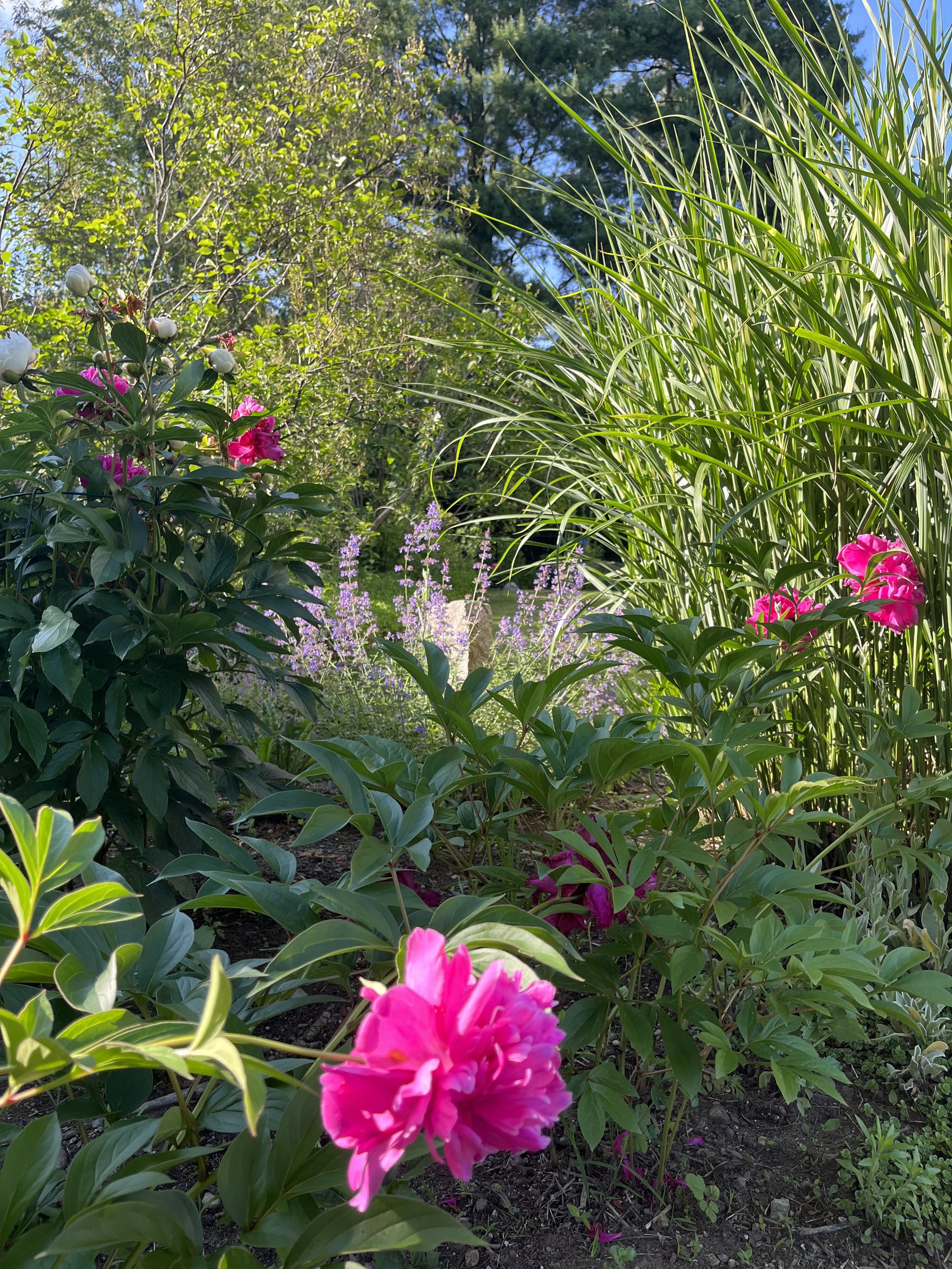 17405798-72C7-49C5-A303-880B8A33F4F7.jpeg