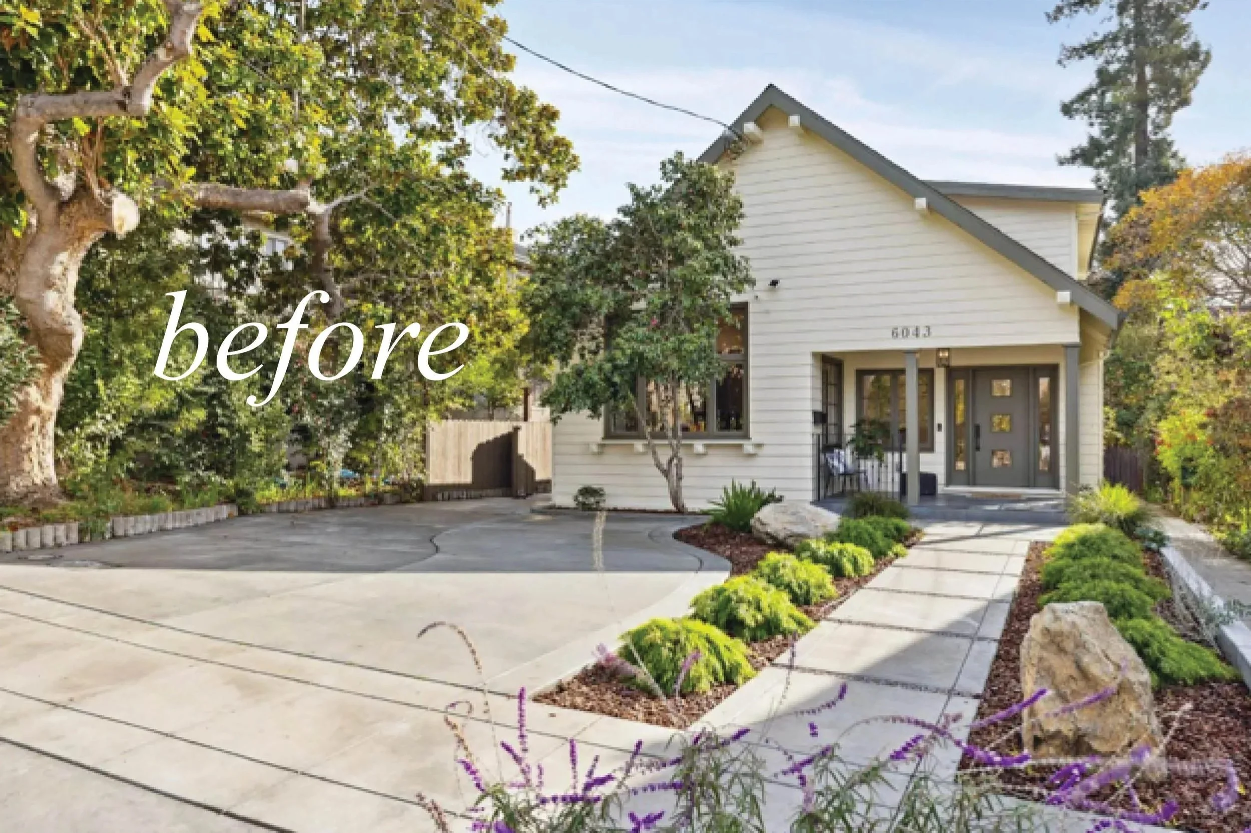 before+photo+w+label.jpg