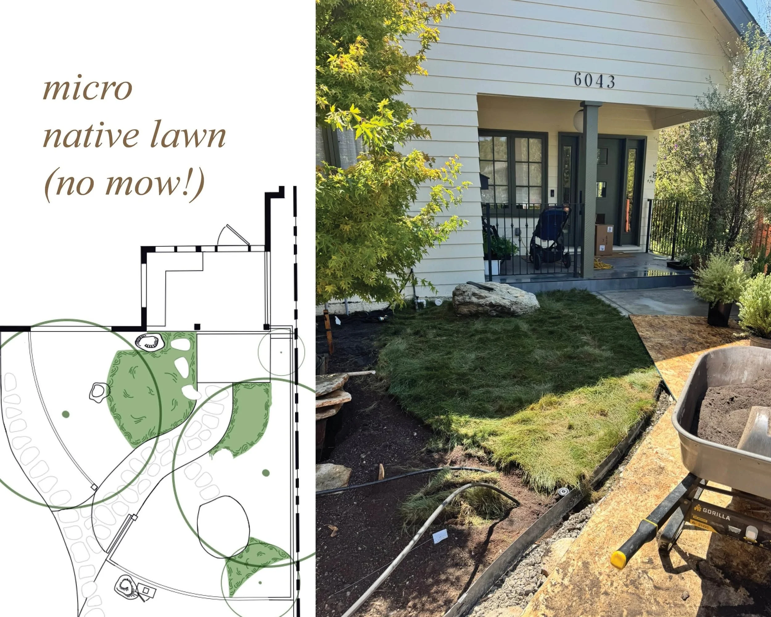 lawn+photo+w+label.jpg