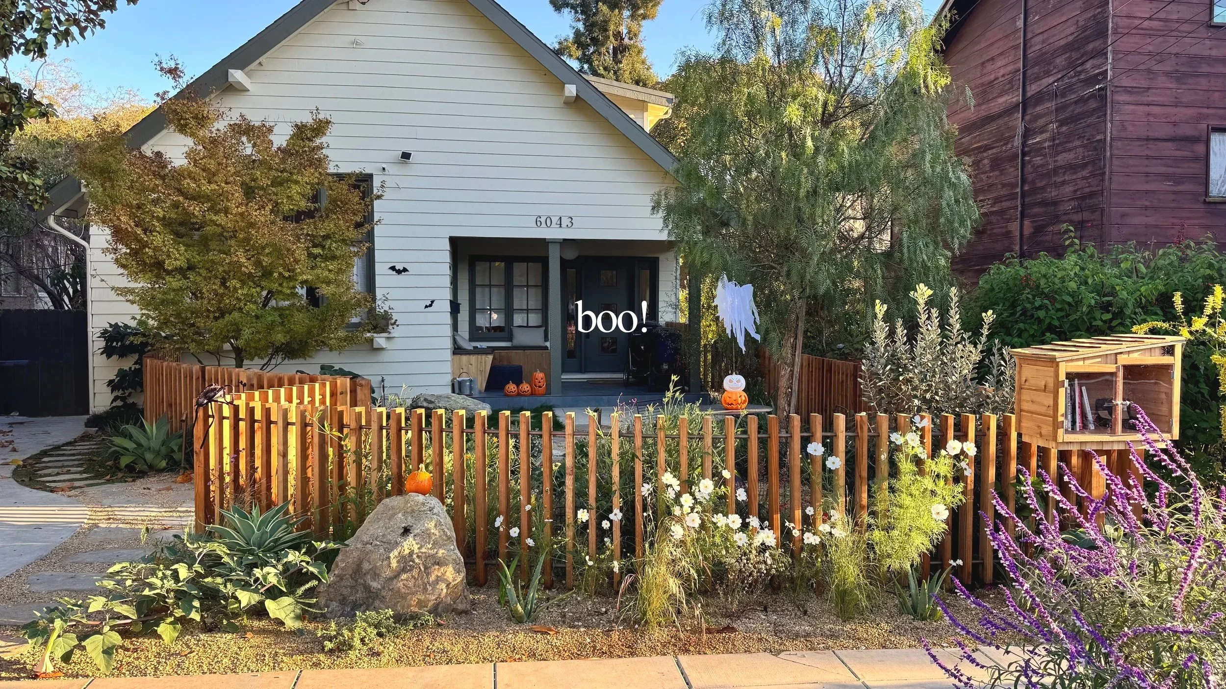 IMG_7914_edit_16-9_boo.jpg