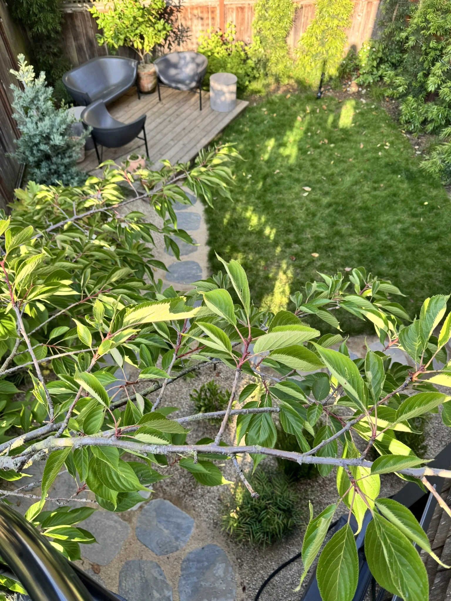 IMG_5070.JPEG