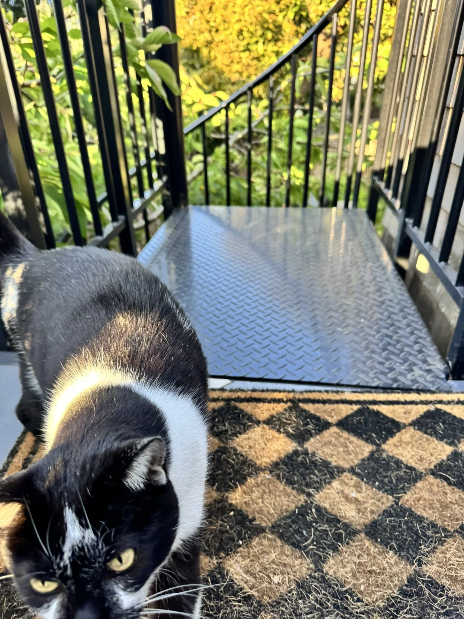 IMG_5119.JPEG