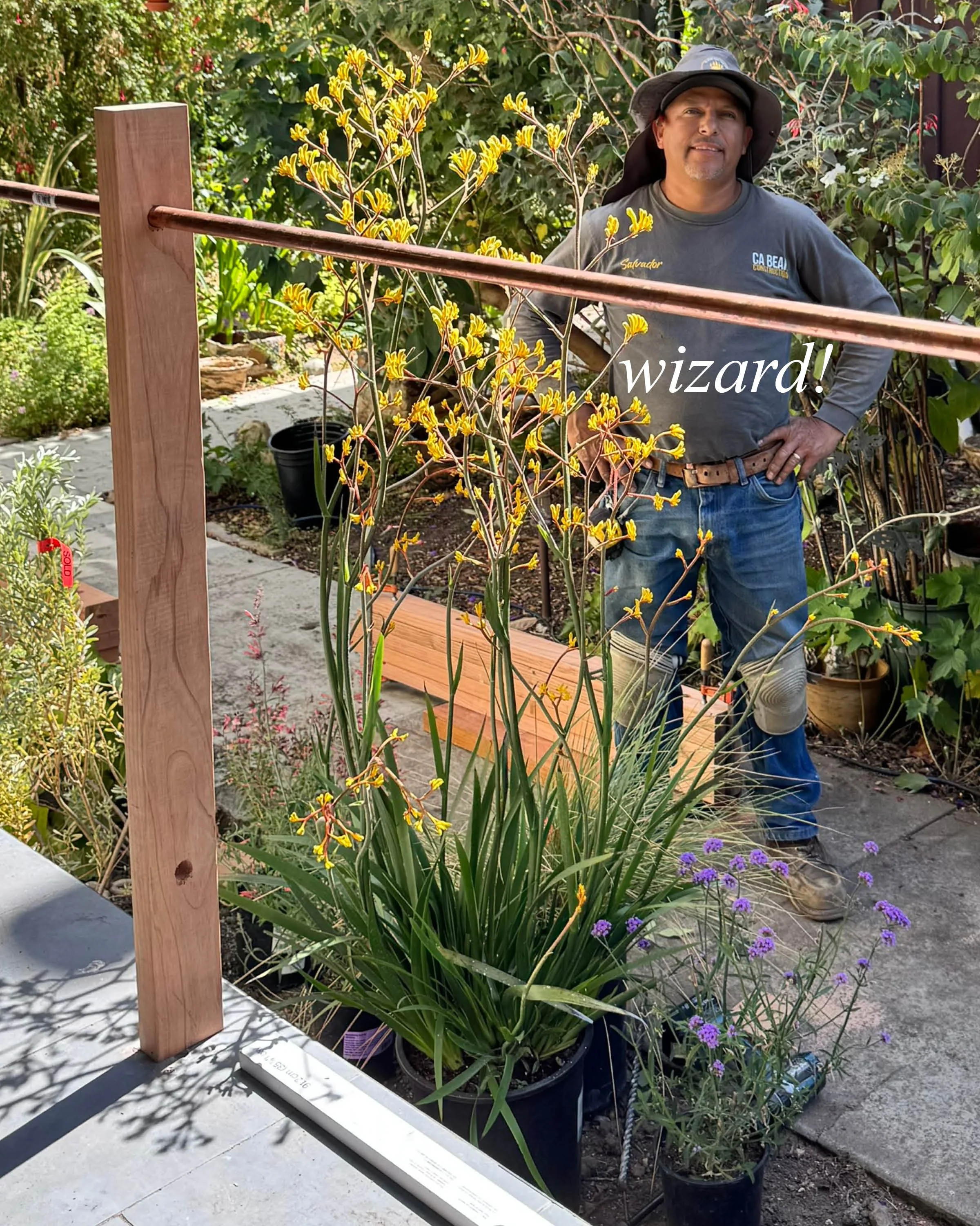 salvador wizard photo w label.jpg