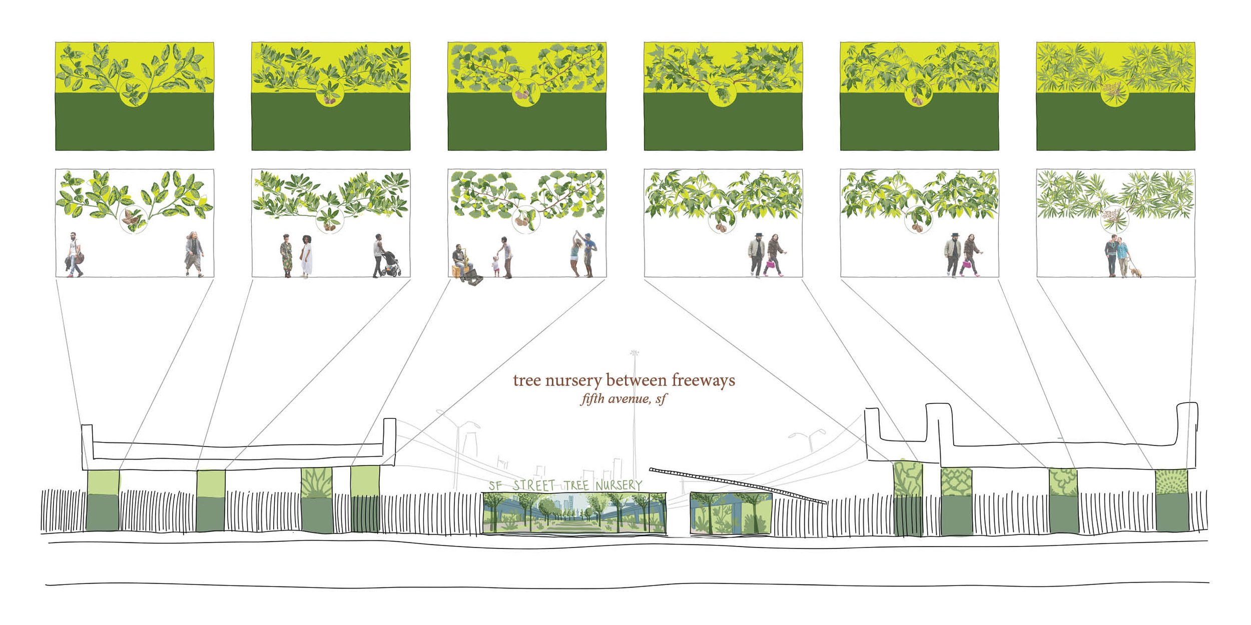 Street Elevation_Column Concept_dark + light columns above.jpg