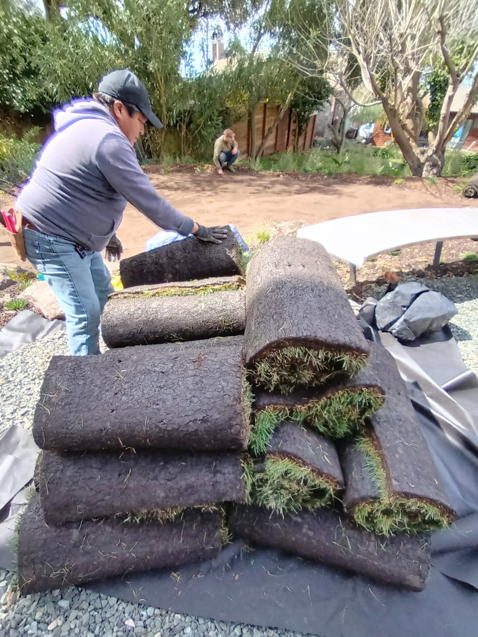 rollout sod brings insta-lawn
