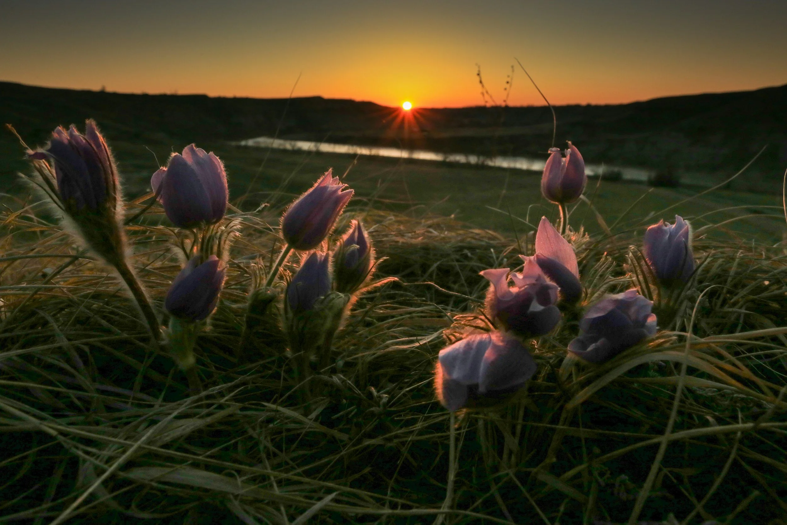 Spring Equinox: Resetting Mind, Body + Spirit