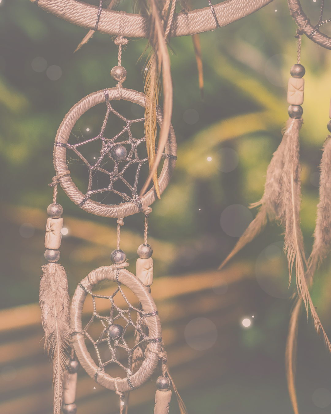Honouring the Summer Solstice &amp; National Indigenous Peoples Day 