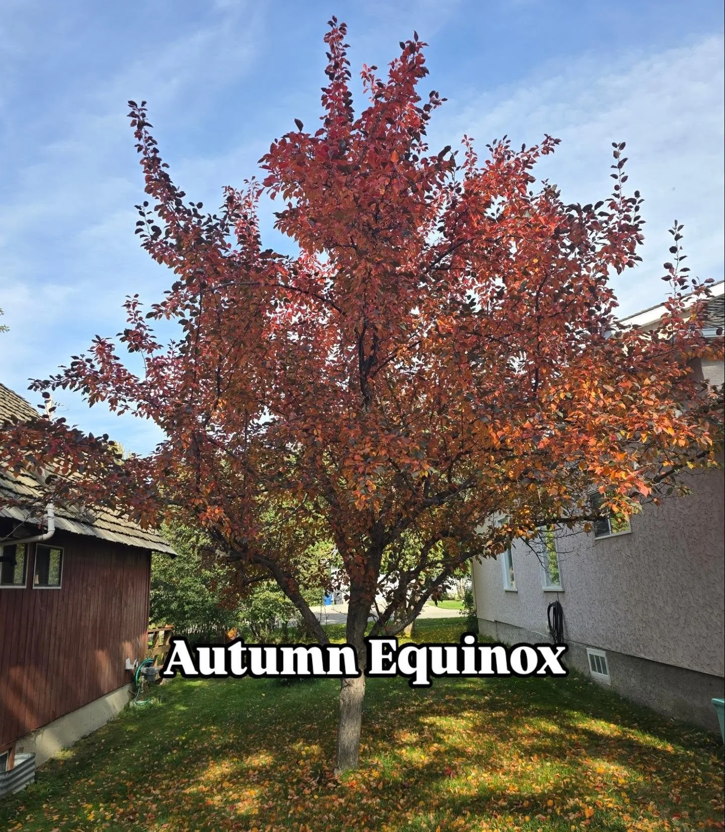🍂 THE AUTUMN EQUINOX | A TIME TO RETURN TO BALANCE 🍂

Today we cross a threshold.

The Autumn Equinox marks the moment when light and darkness are in balance, a beautiful reminder that neither can exist without the other. 

From here, the days will