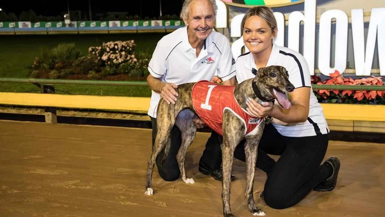 Fernando-Cazz-greyhound